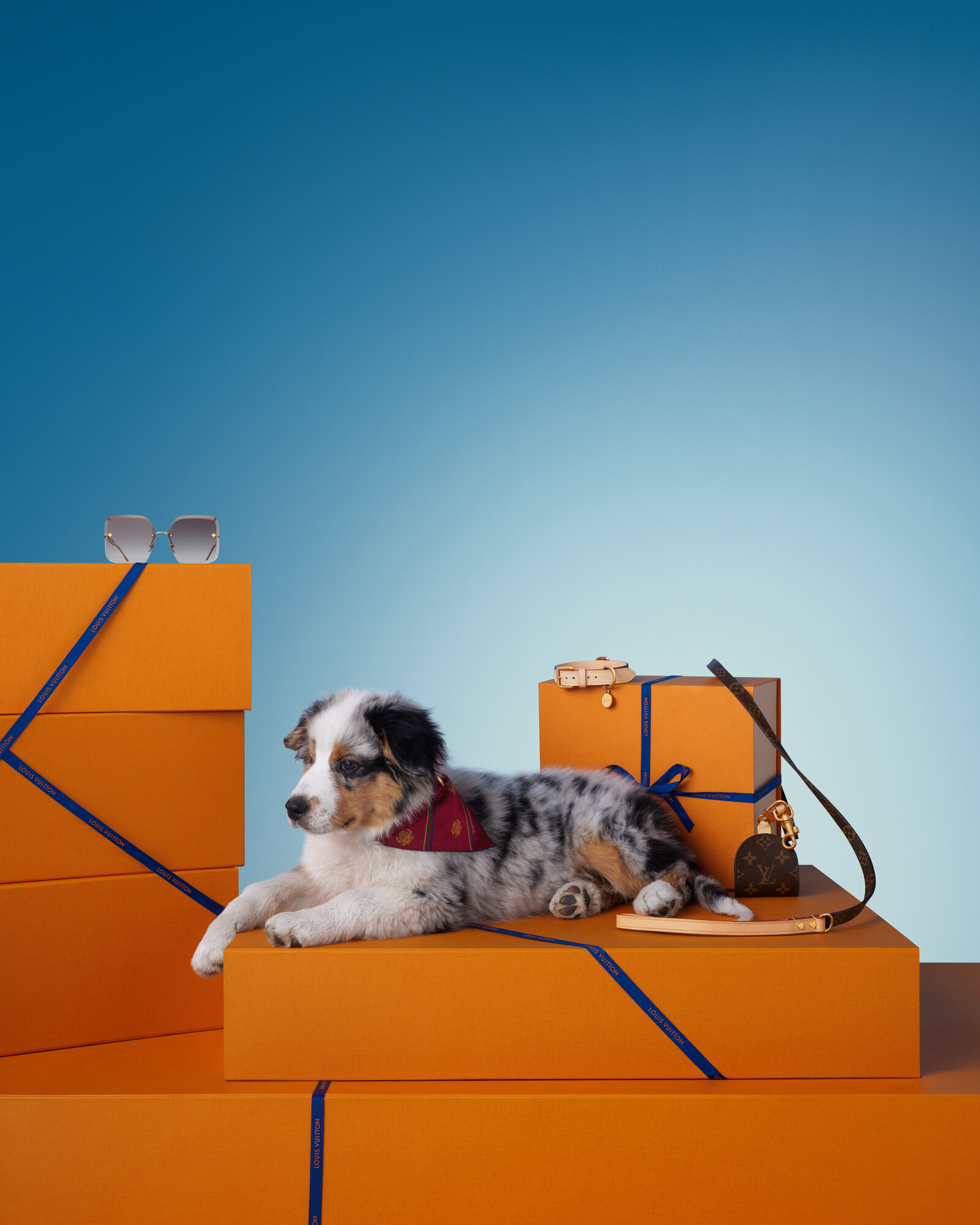 Gifts for Pets - Gifts | LOUIS VUITTON