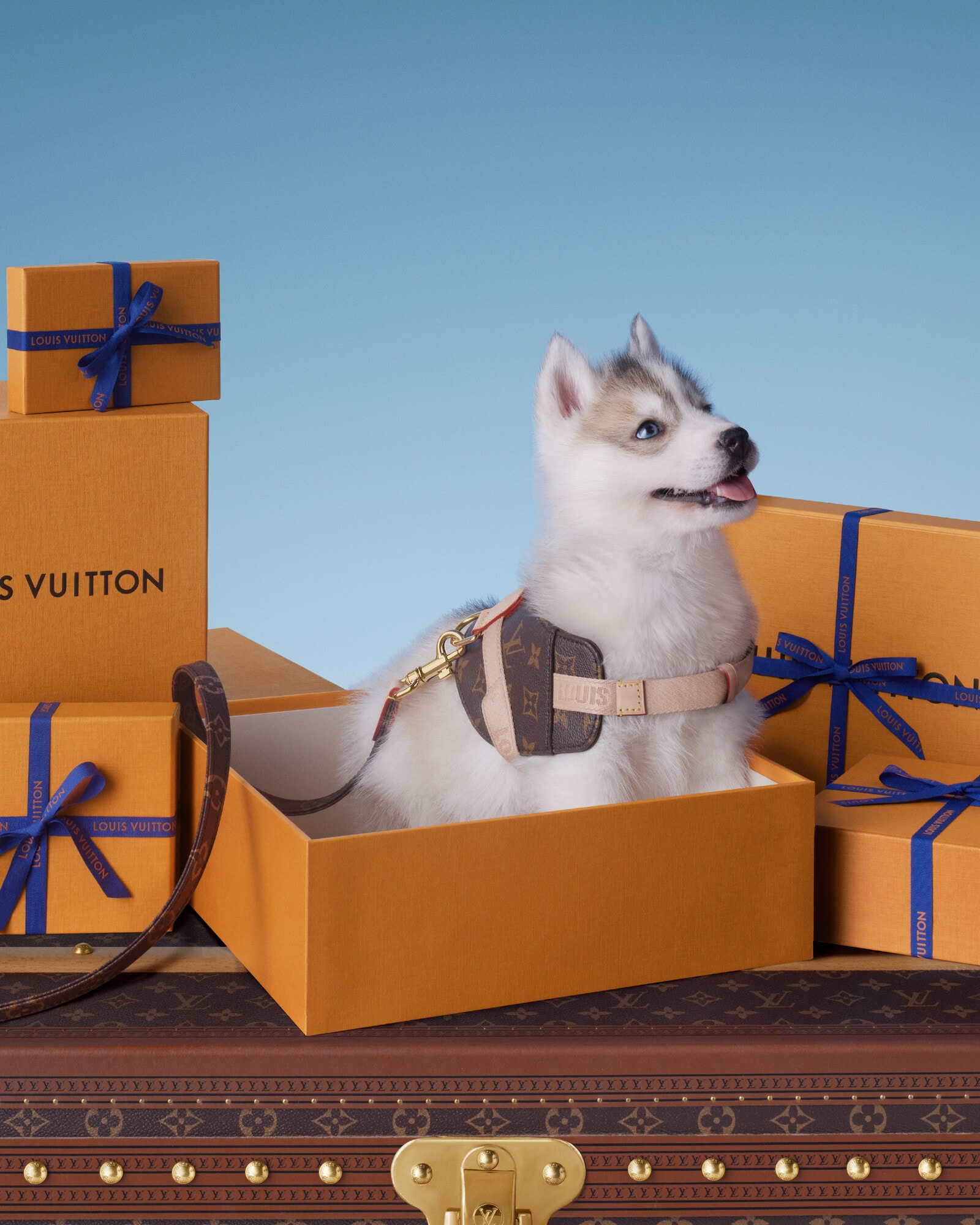 Gifts for Pets - Gifts | LOUIS VUITTON