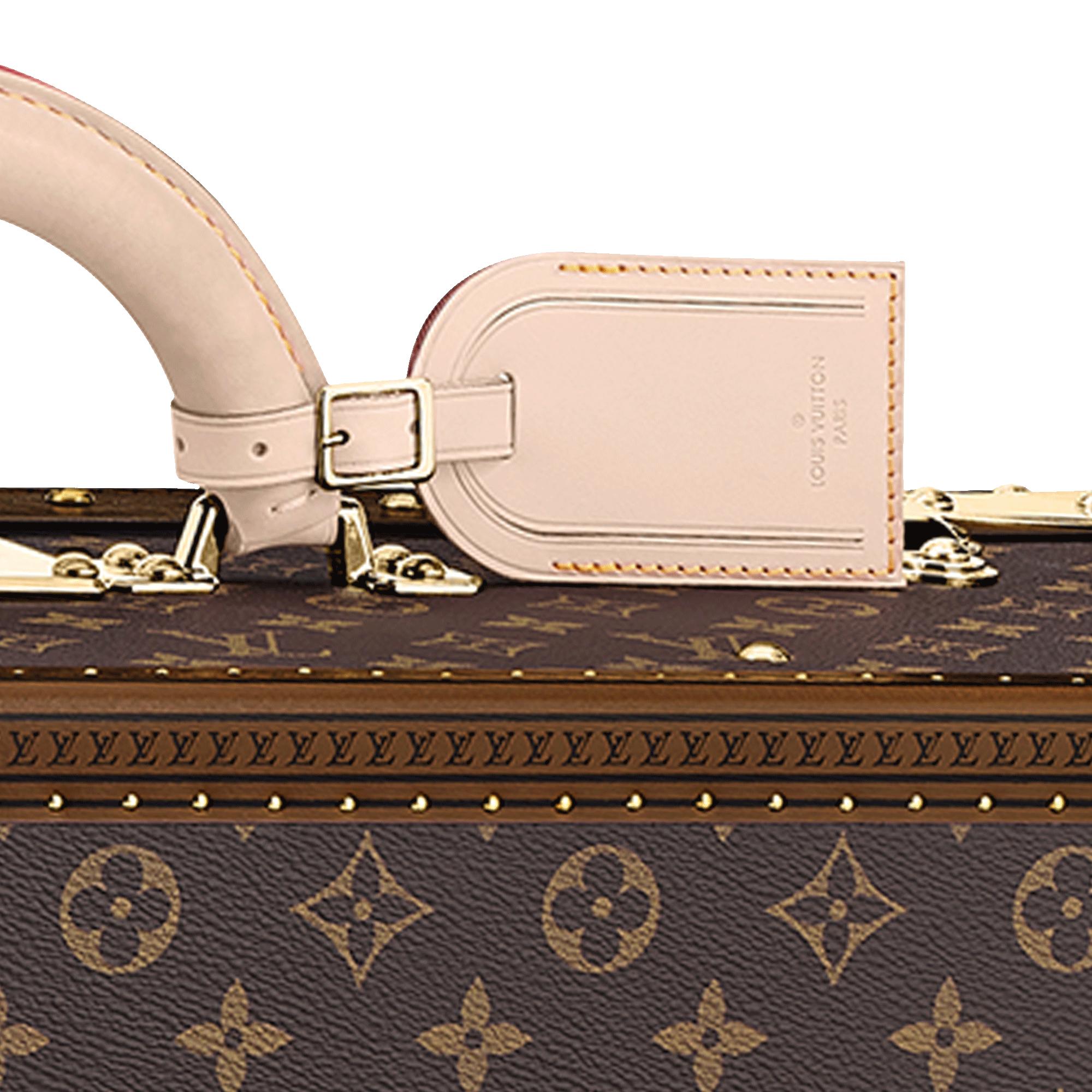 Alzer 55 Monogram Canvas in Les Extraordinaires