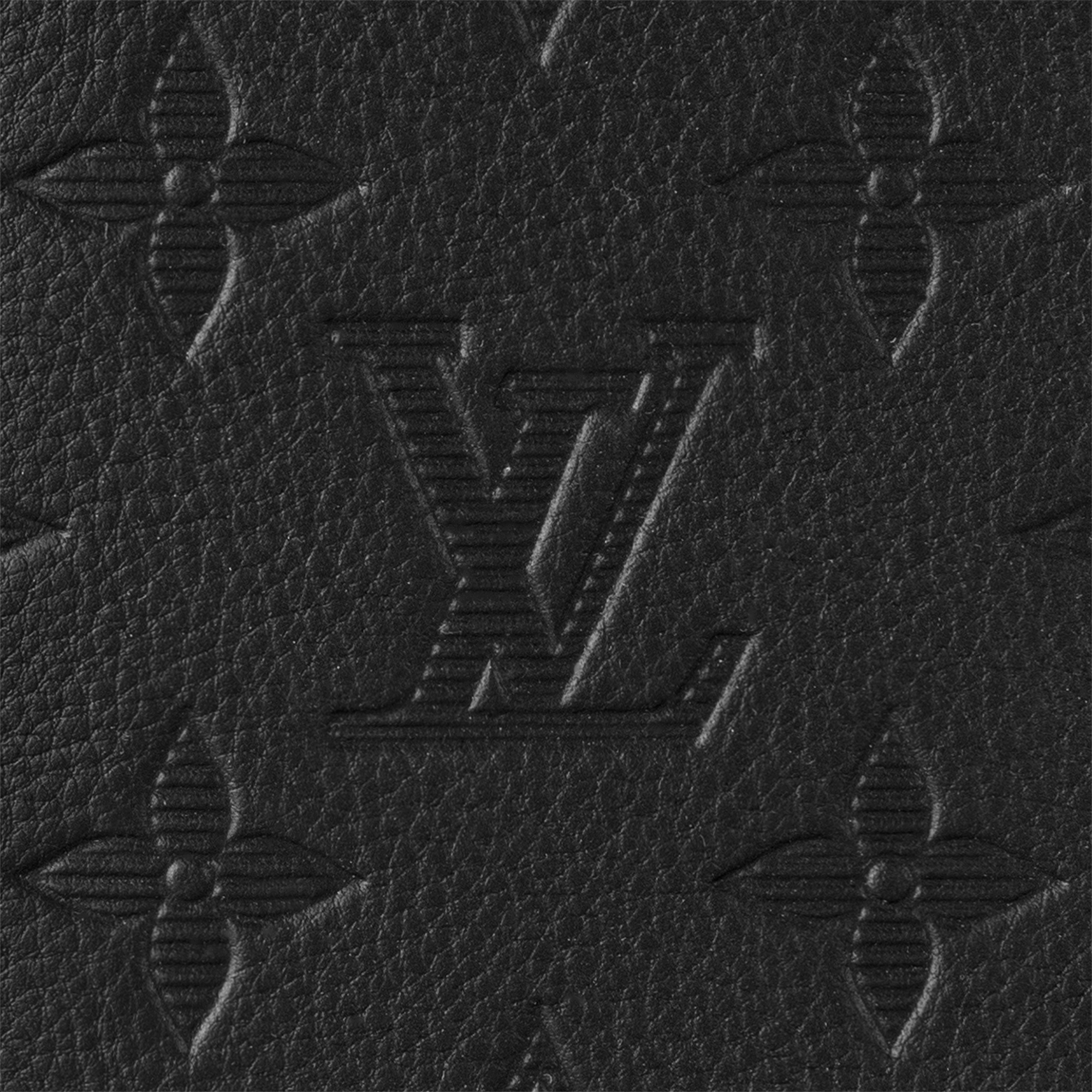 Brazza Wallet Monogram Shadow Leather in Super Lucky Day