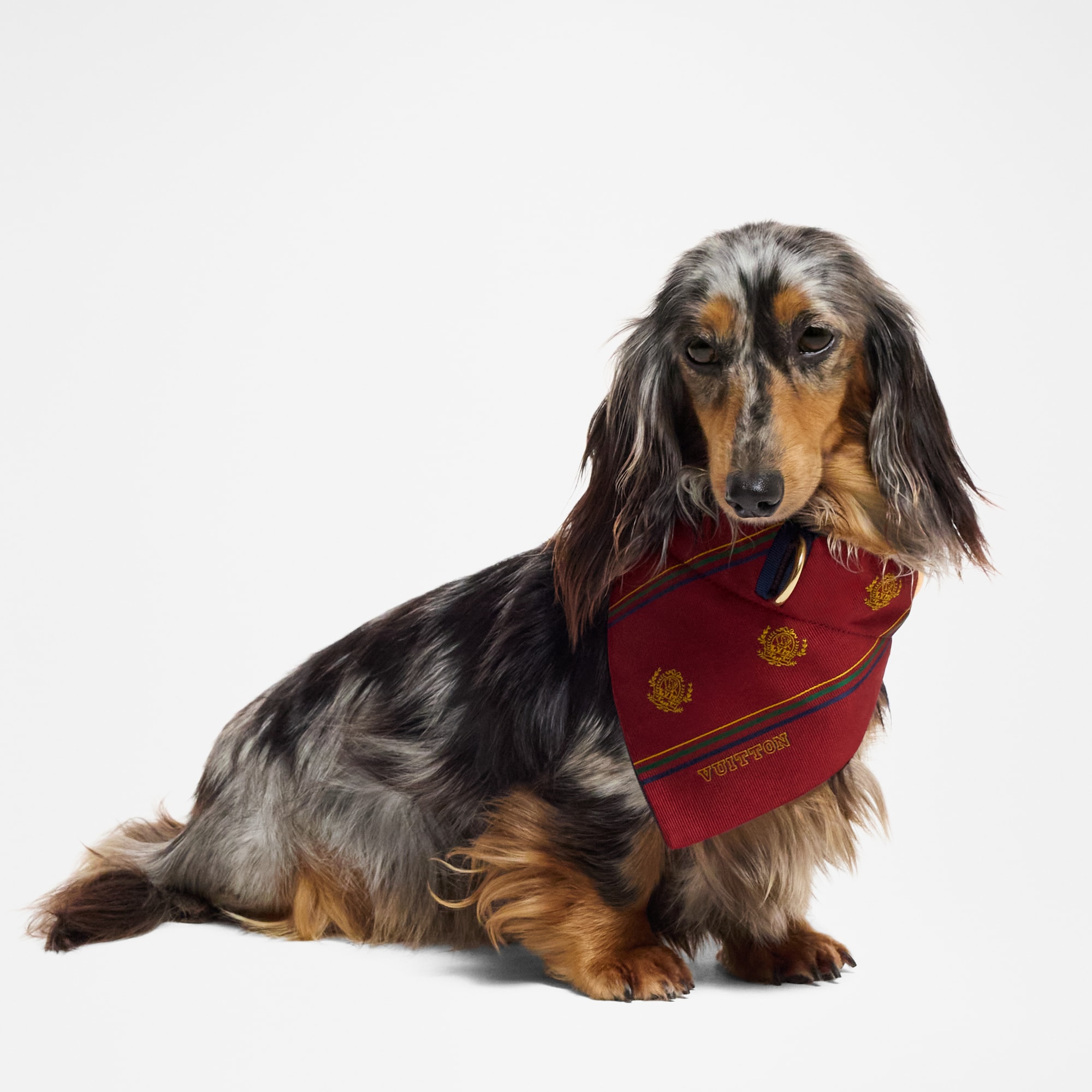 Dog Bandana MM  in Trunks, Travel and Home