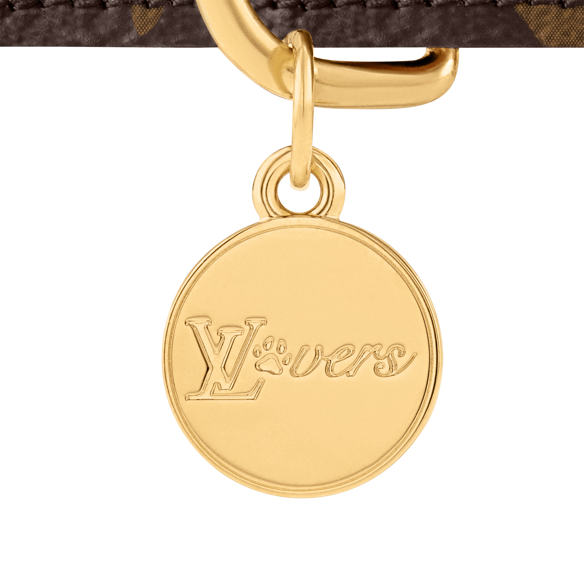 Dog Collar PM  in Trunks, Travel and Home