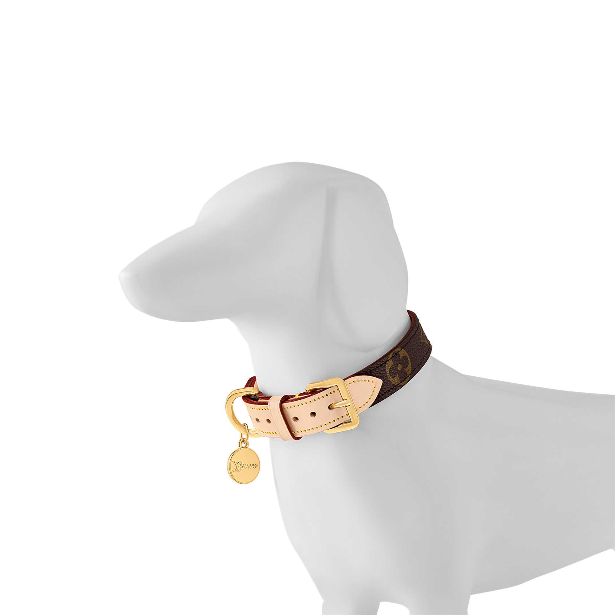 Dog Collar PM  in Trunks, Travel and Home