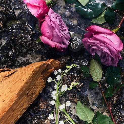 eLVes Louis Vuitton in Perfumes and Beauty's All Perfumes } collections by Louis Vuitton (Product zoom)