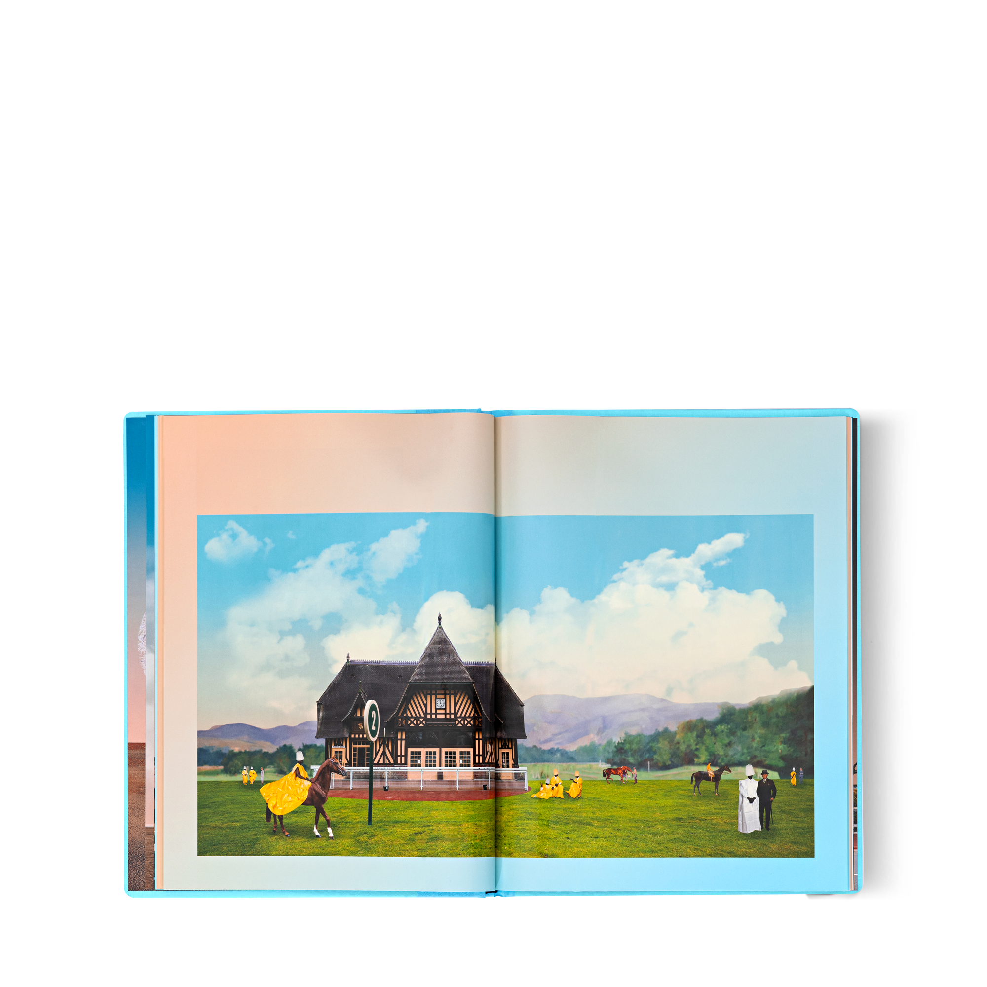 Fashion Eye Deauville  in Trunks, Travel and Home