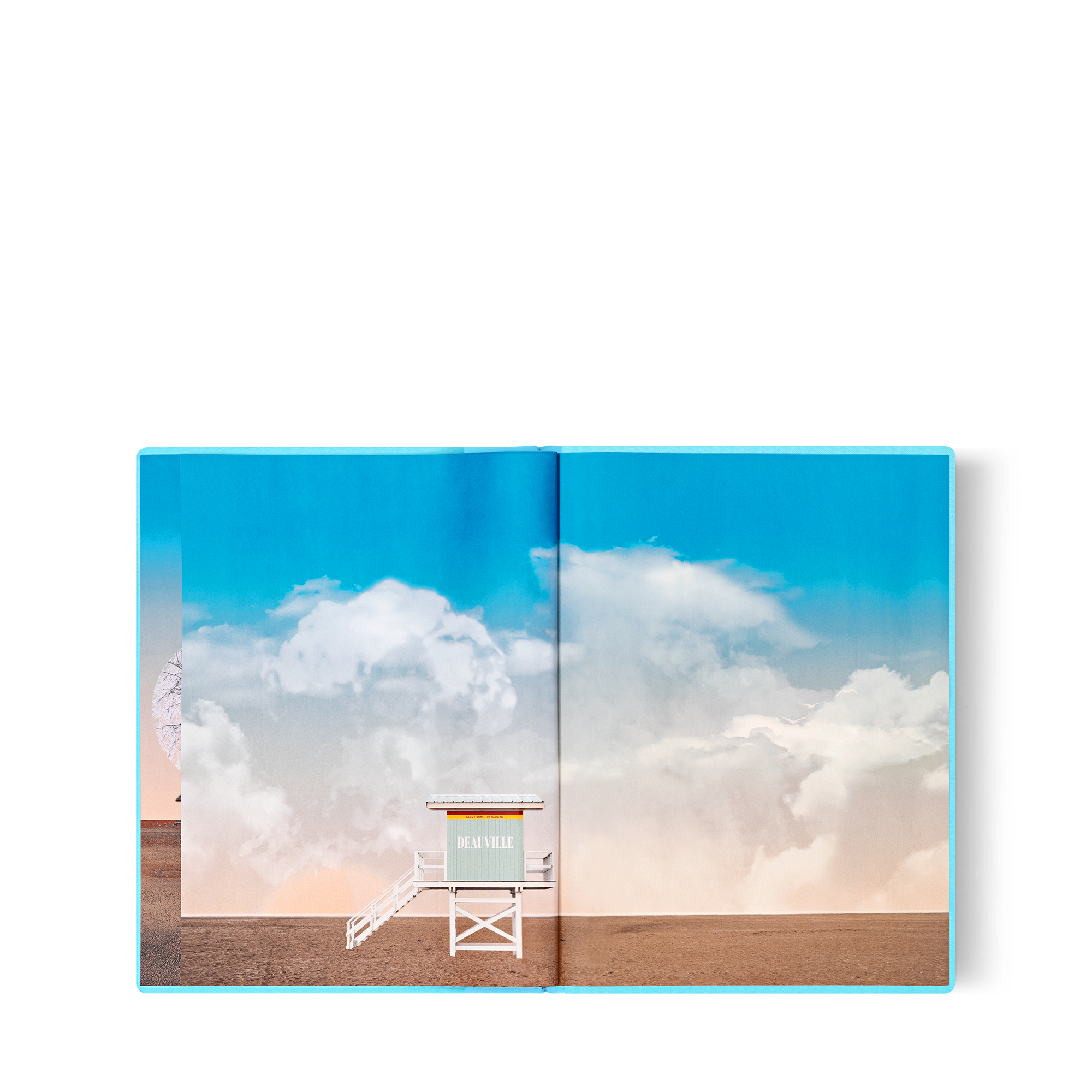 Fashion Eye Deauville  in Trunks, Travel and Home