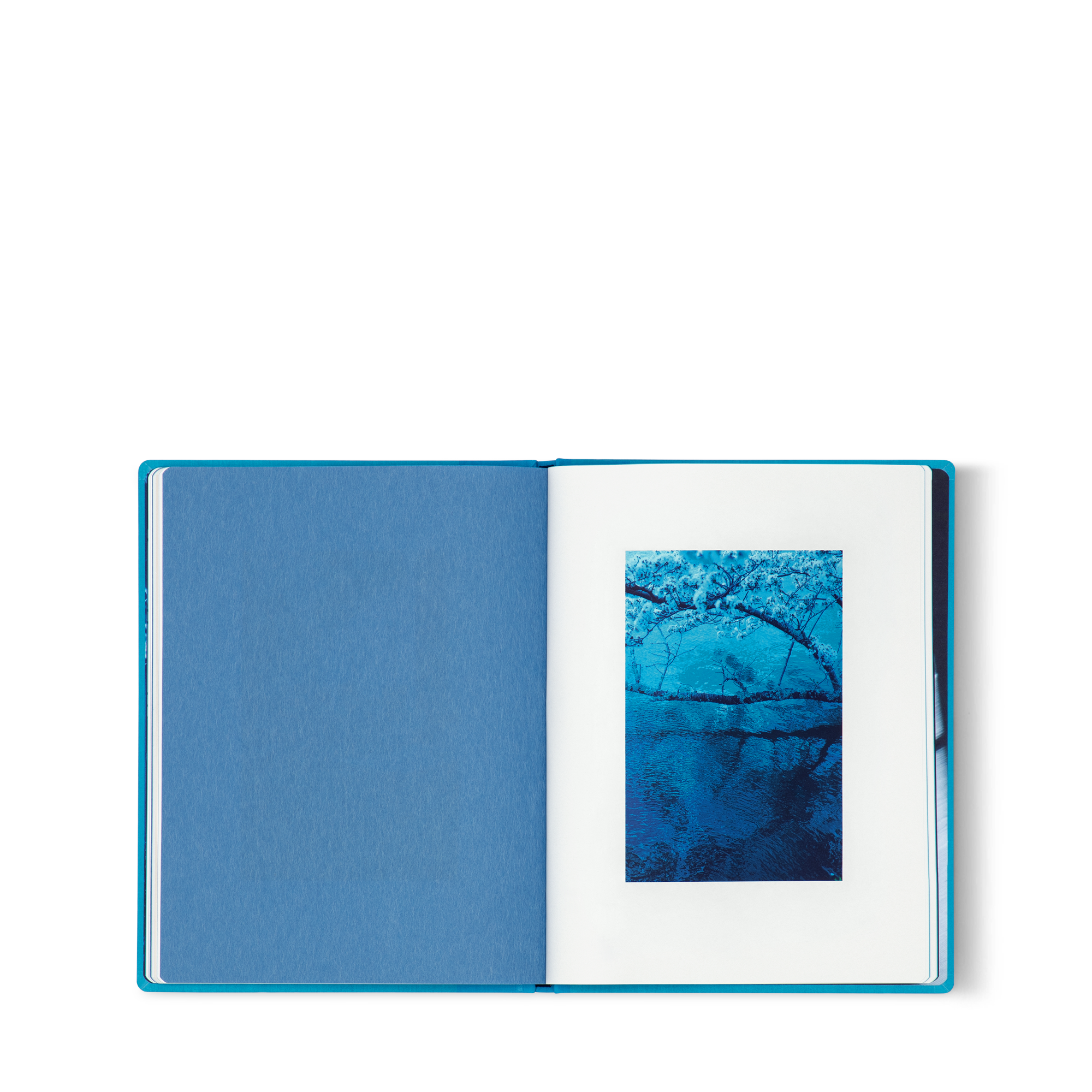 Fashion Eye Kyoto  in Trunks, Travel and Home