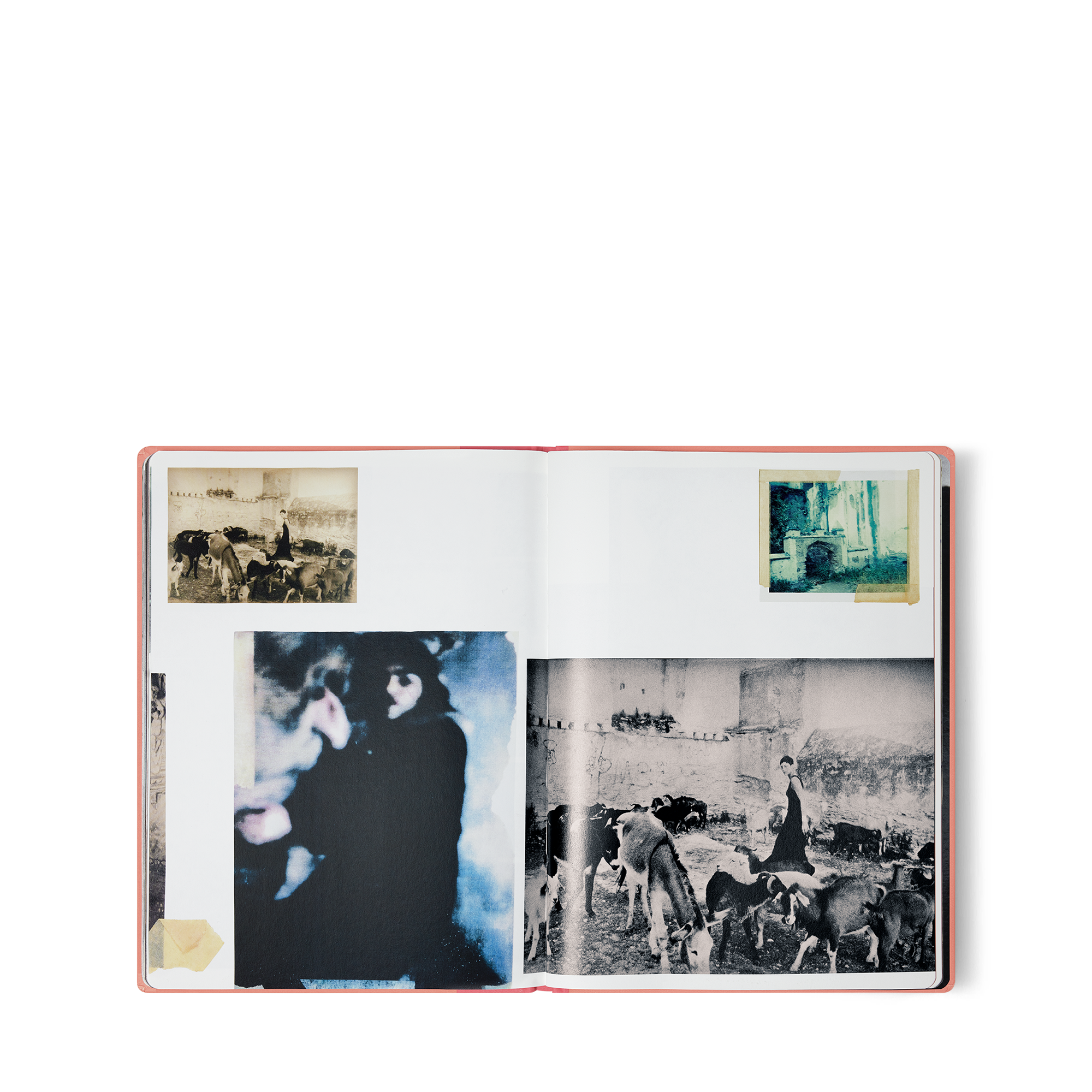 Fashion Eye Mexico  in Trunks, Travel and Home