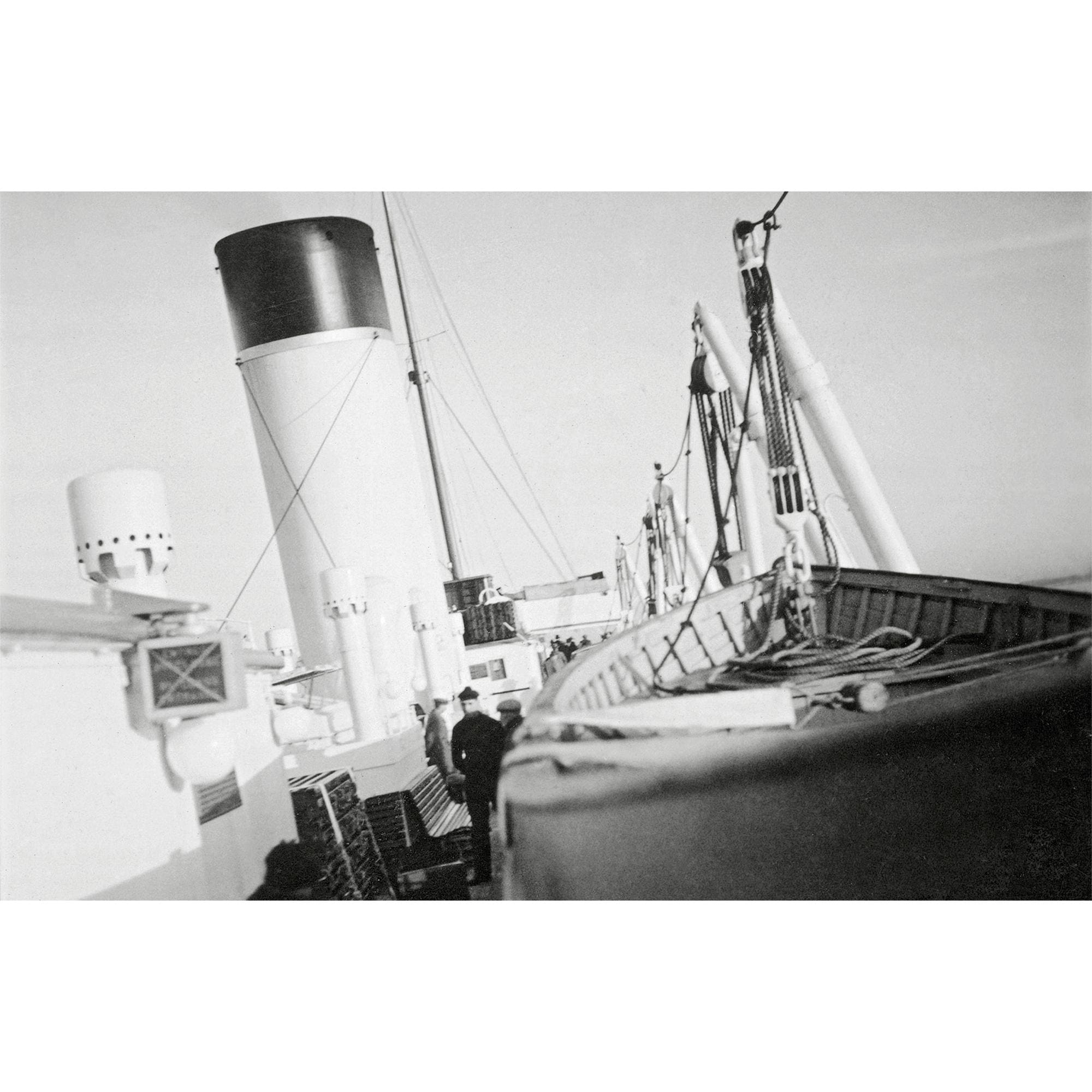 Fashion Eye Normandie  in Trunks, Travel and Home