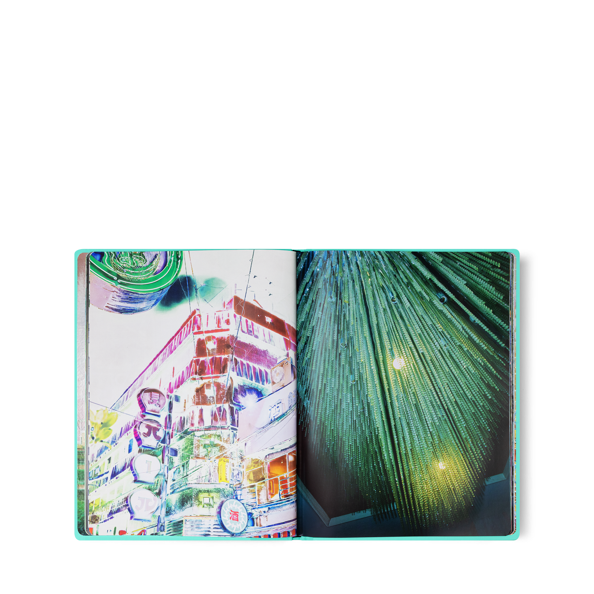 Fashion Eye Osaka  in Trunks, Travel and Home