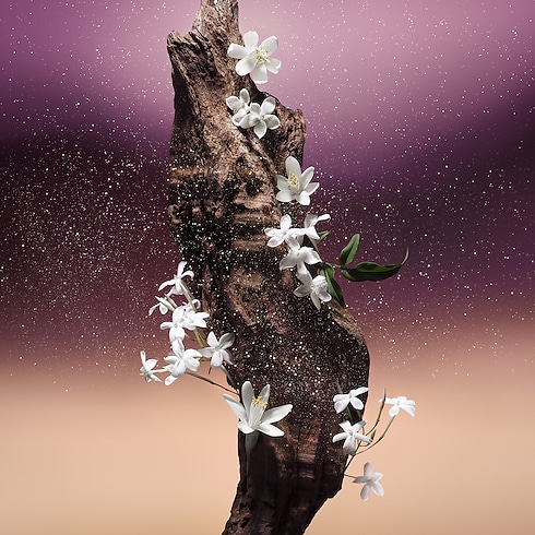 Fleur du Désert in Perfumes and Beauty's Collections Masculine Perfumes collections by Louis Vuitton (Product zoom)