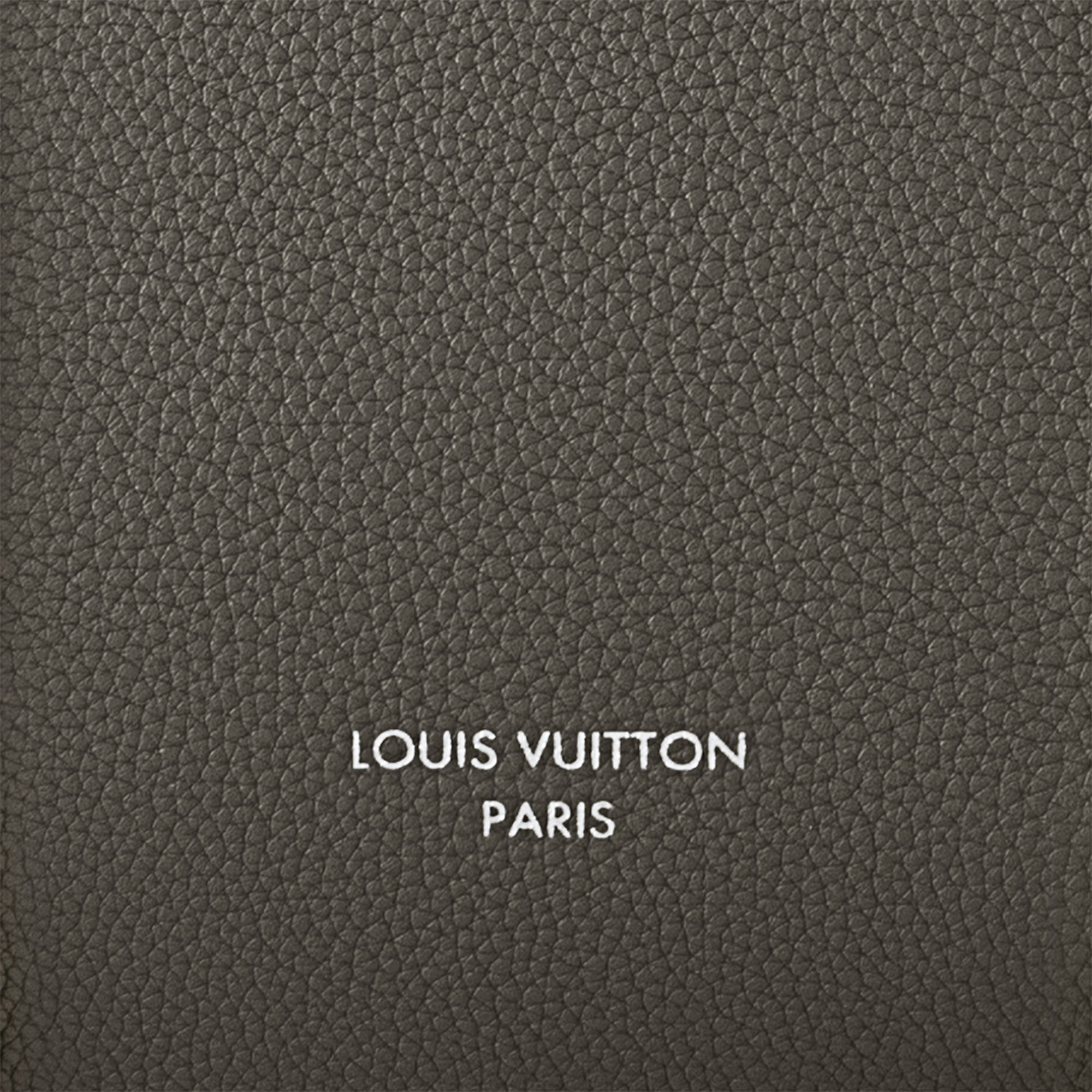 Georges Tote MM Autres Cuirs in Bags and Small Leather Goods