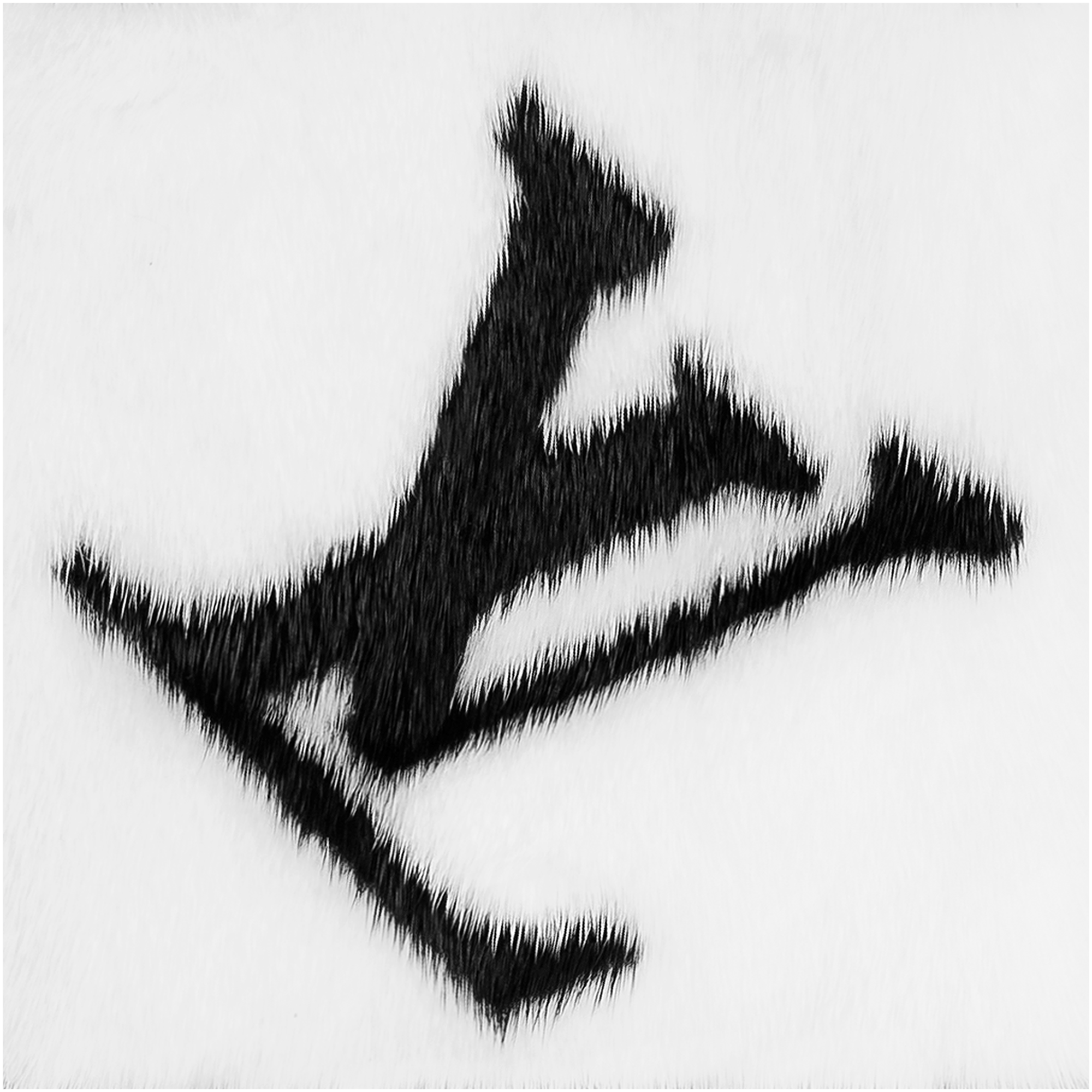 Gogram Fur Scarf . in Women