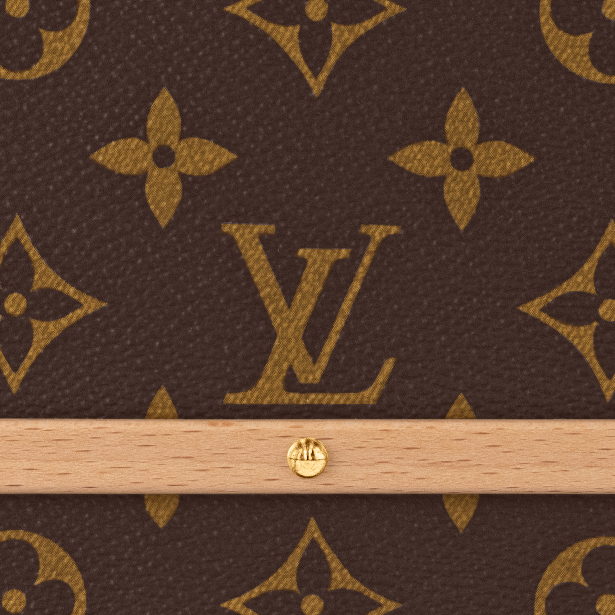 Handle Trunk Monogram Monogram in Les Extraordinaires