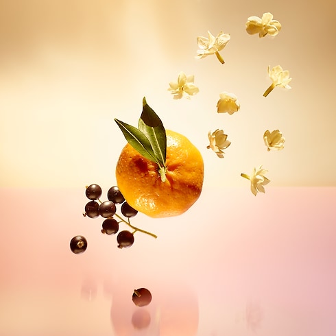 Le Jour Se Lève in Perfumes and Beauty's Collections Feminine Perfumes collections by Louis Vuitton (Product zoom)