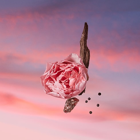 Les Sables Roses in Women's Fall-Winter 2026 Collection } collections by Louis Vuitton (Product zoom)