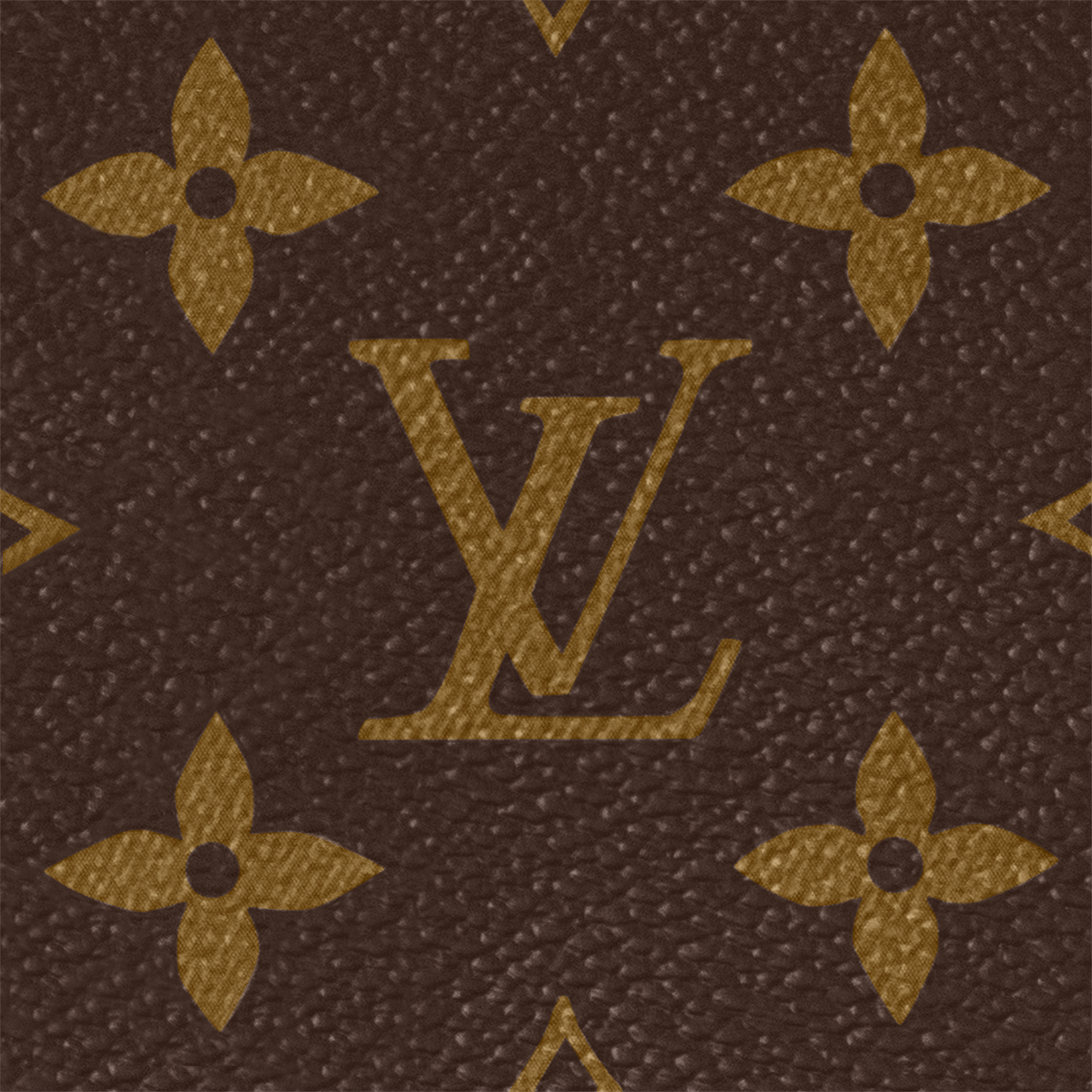 Lou Wallet Other Monogram Canvas in Women