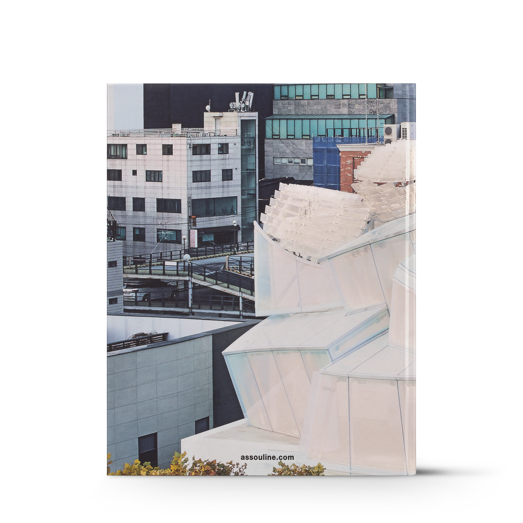 Louis Vuitton Skin: Architecture of Luxury Seoul  in Trunks, Travel and Home