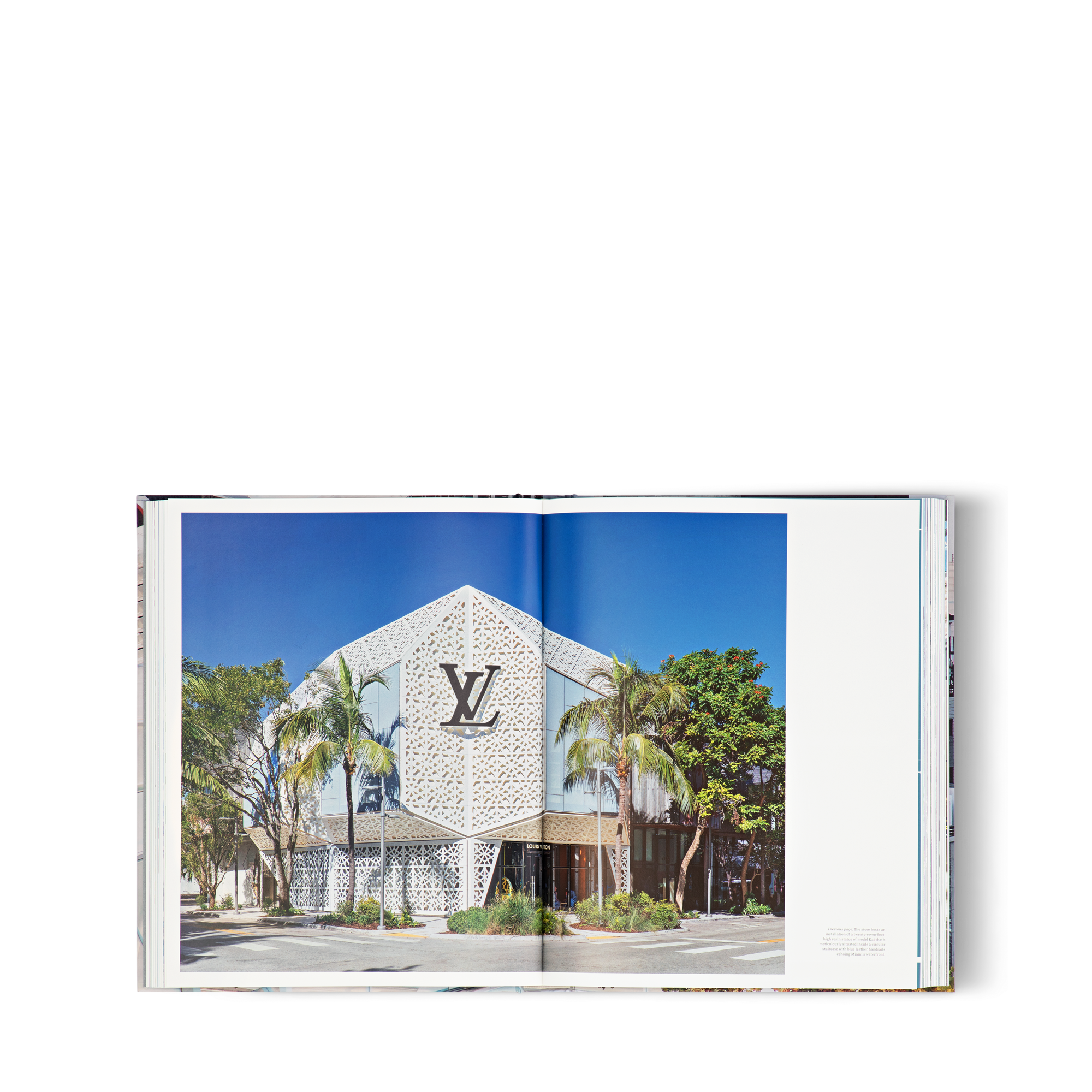 Louis Vuitton Skin: Architecture of Luxury Seoul  in Trunks, Travel and Home