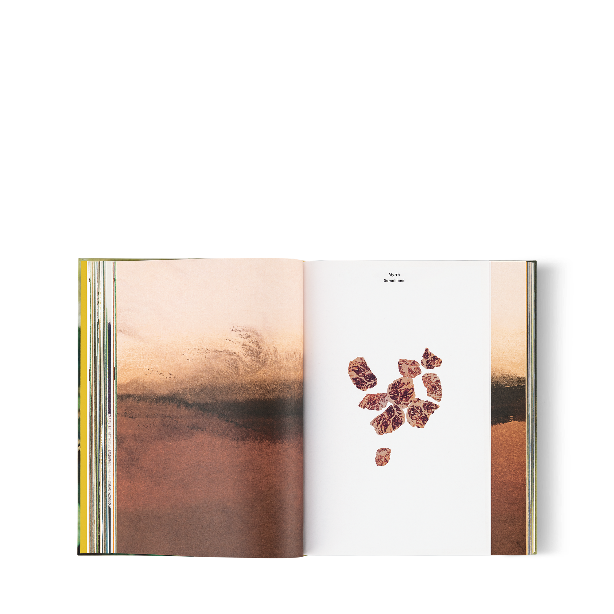 Louis Vuitton: A Perfume Atlas, English Version  in Trunks, Travel and Home