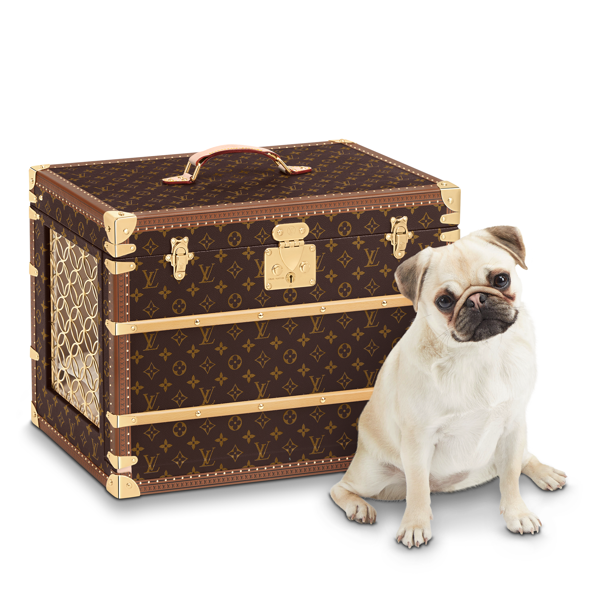 Malle Chien Monogram in Trunks, Travel and Home
