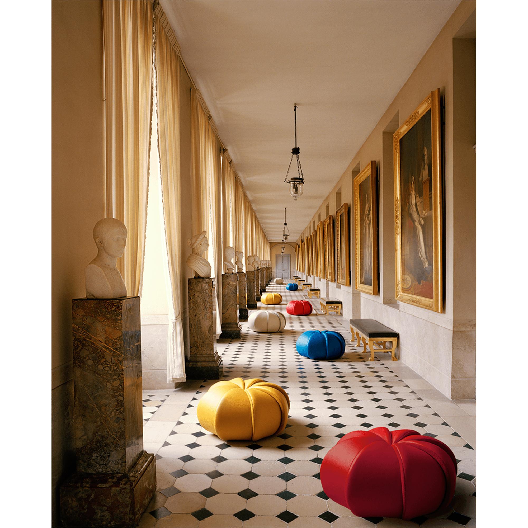 Merengue by Campana Brothers  in Trunks, Travel and Home