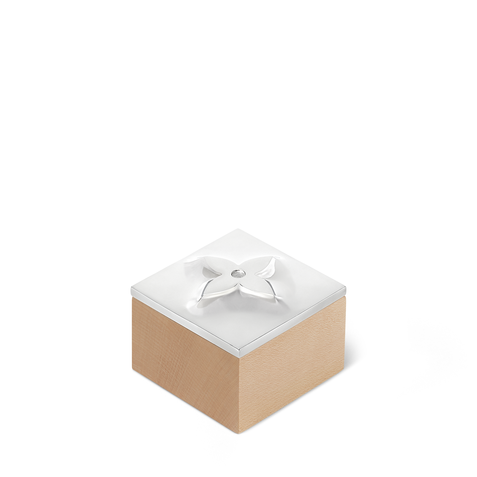 Metalgram Box  in Trunks, Travel and Home