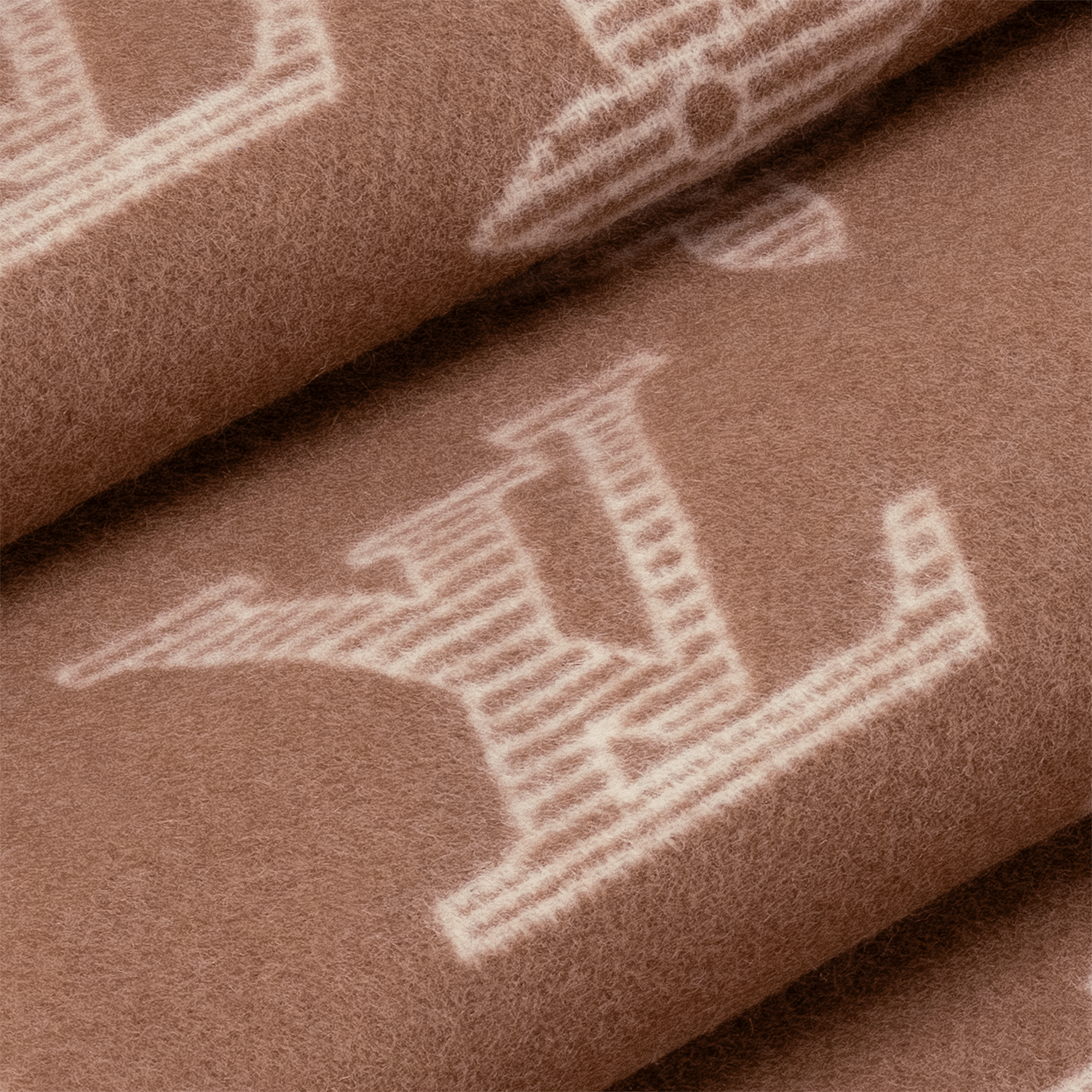 Monogram Shadow Scarf . in Men