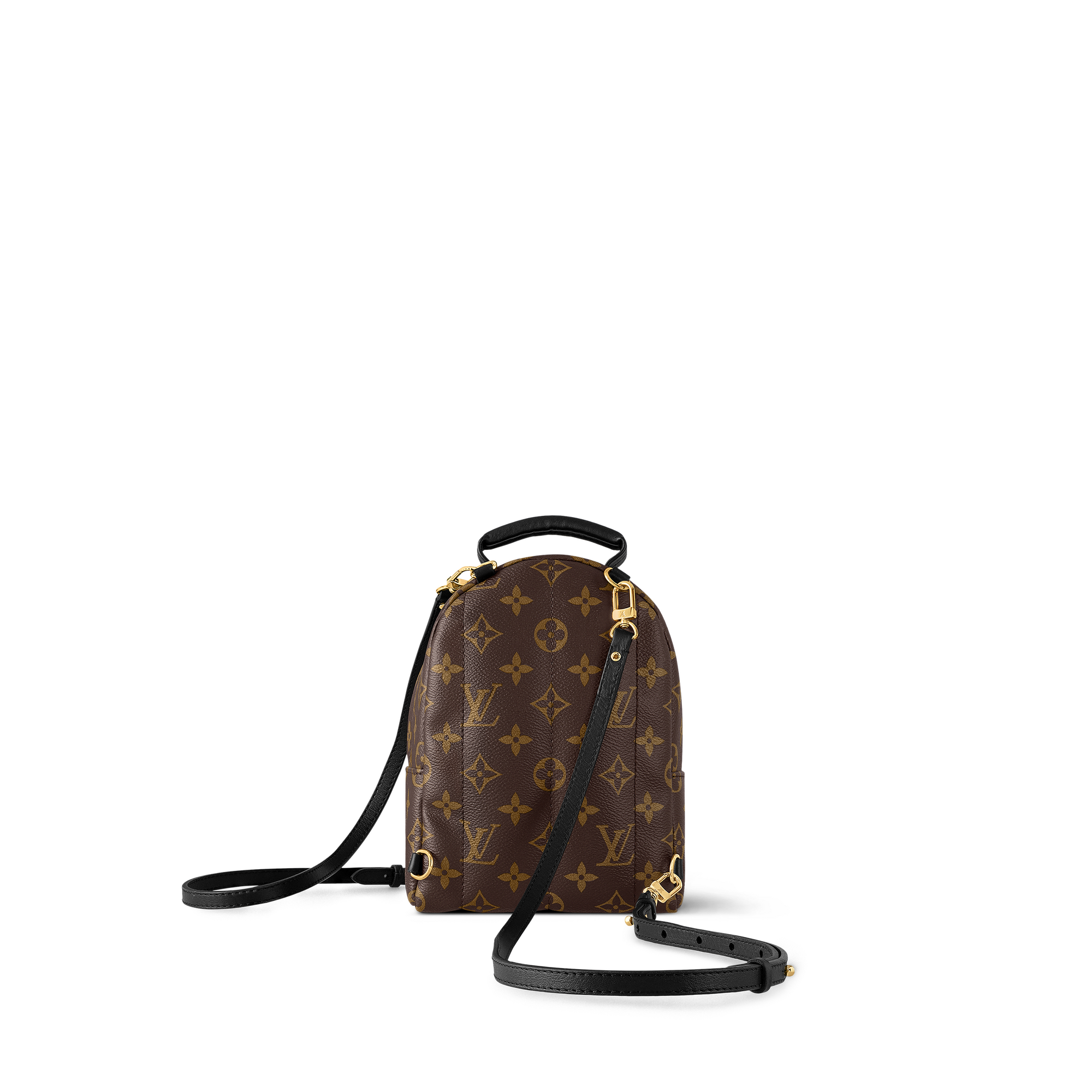Palm Springs Mini Monogram in Women
