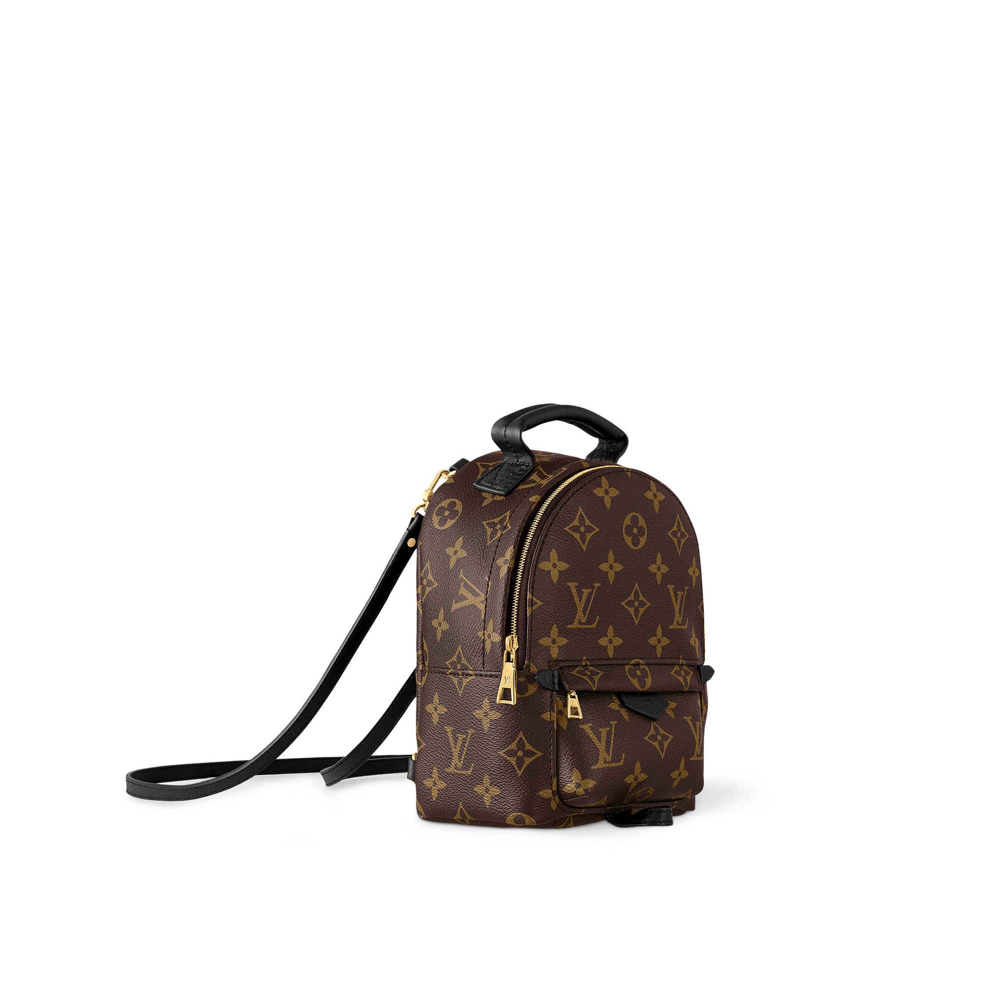 Palm Springs Mini Monogram in Women