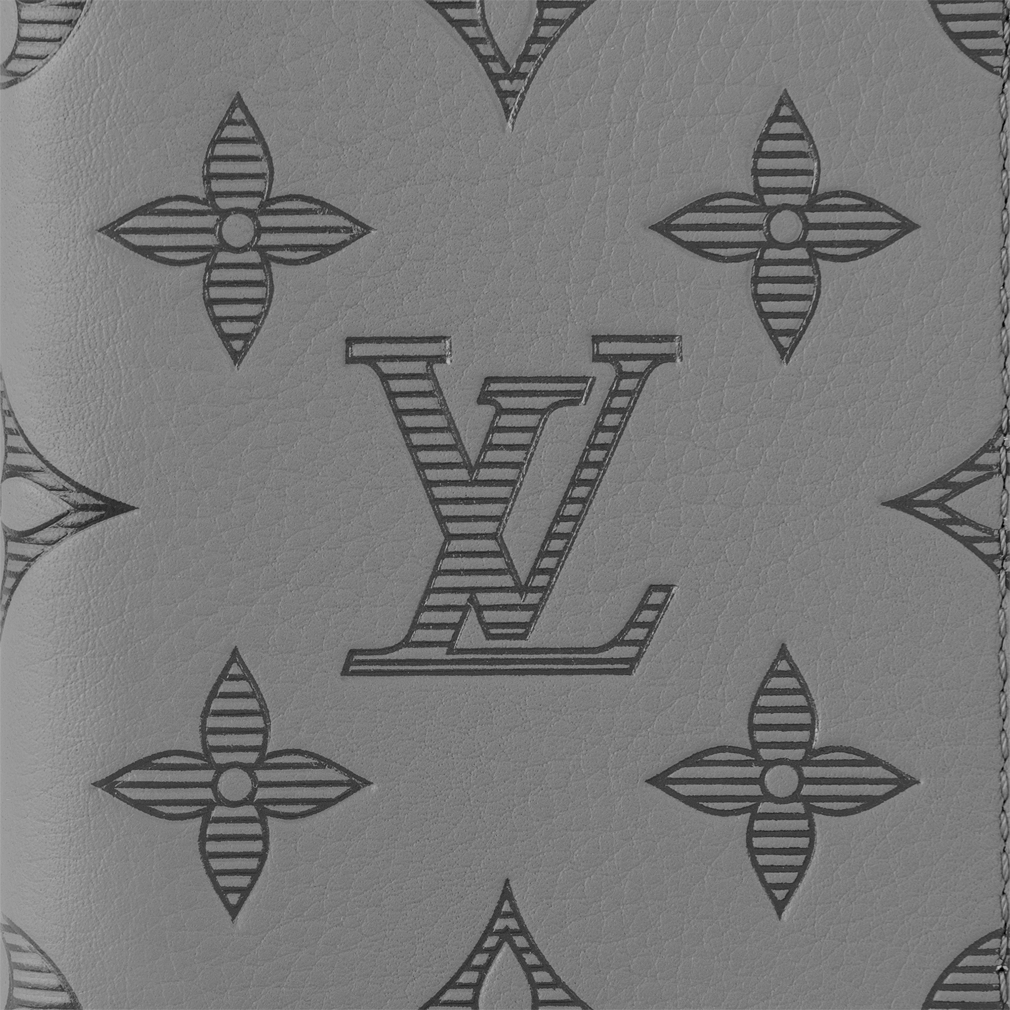 Pocket Organizer Monogram Shadow Leather in Men