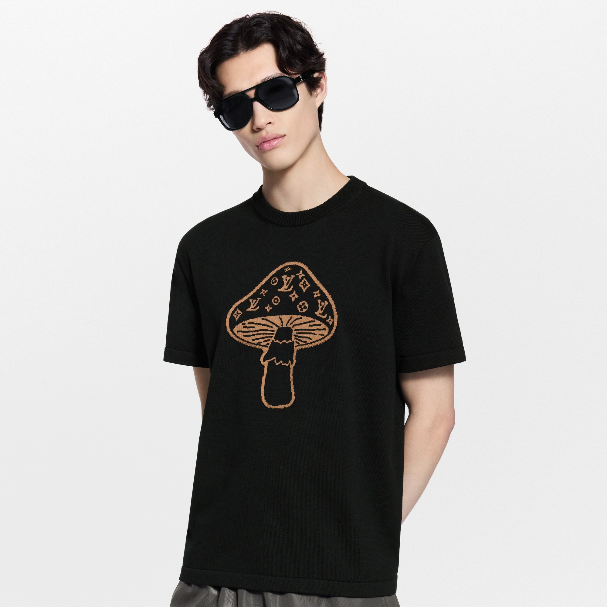 Short-Sleeved Intarsia Crewneck  in Men