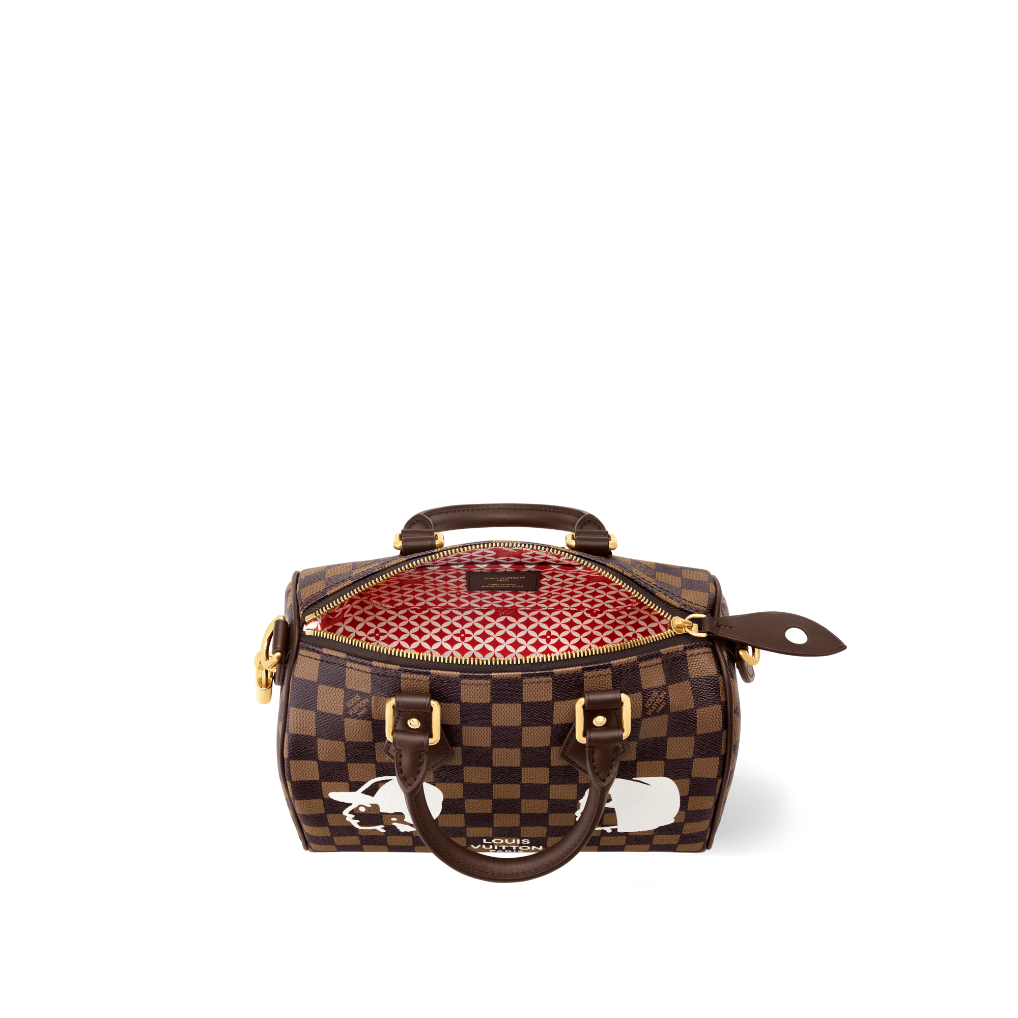 Speedy 25 Bandoulière Damier Other in Bags and Small Leather Goods