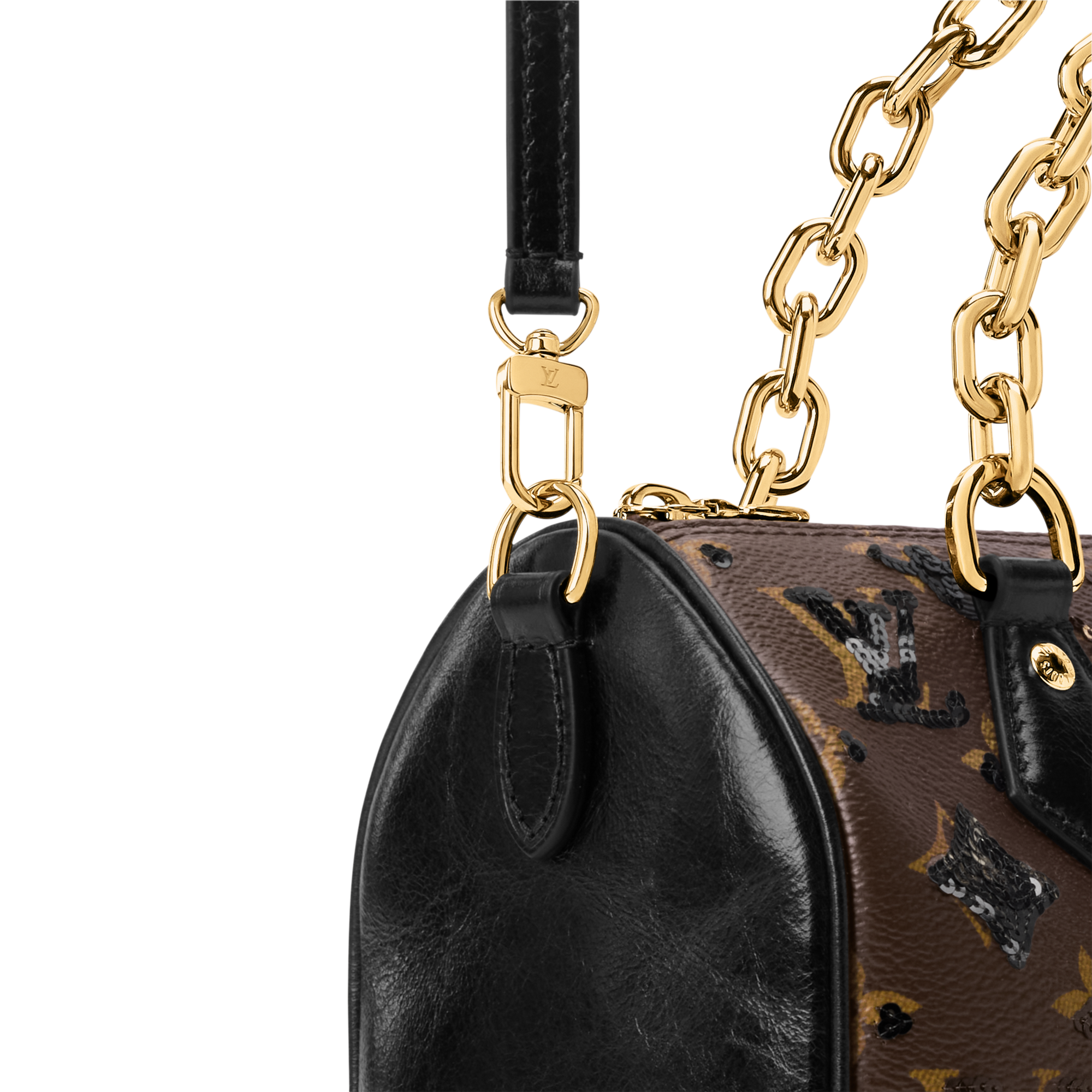 Speedy Bandouliere 20 Monogram in Bags and Small Leather Goods