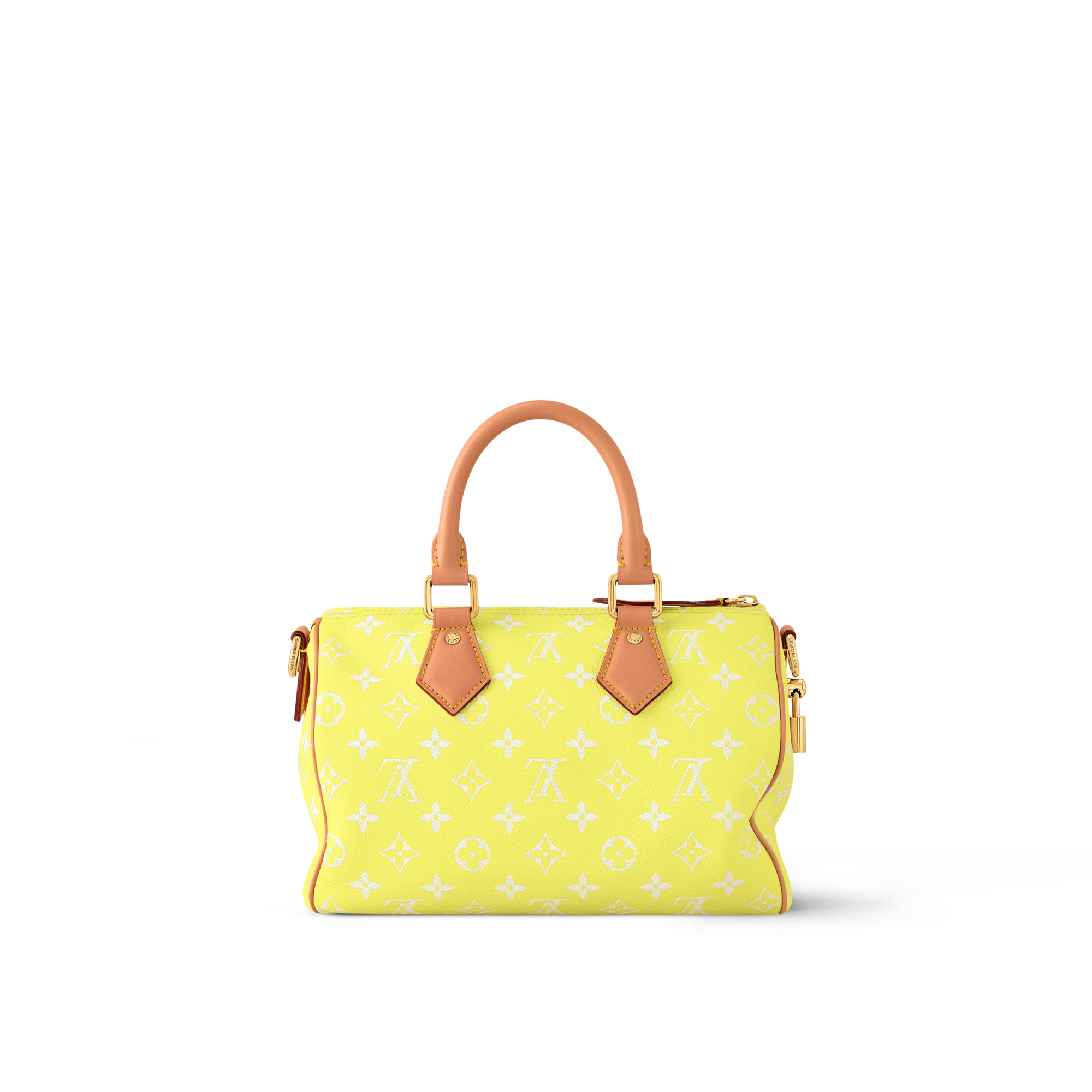 Speedy P9 Bandoulière 25 Autres Cuirs Monogram in Les Extraordinaires