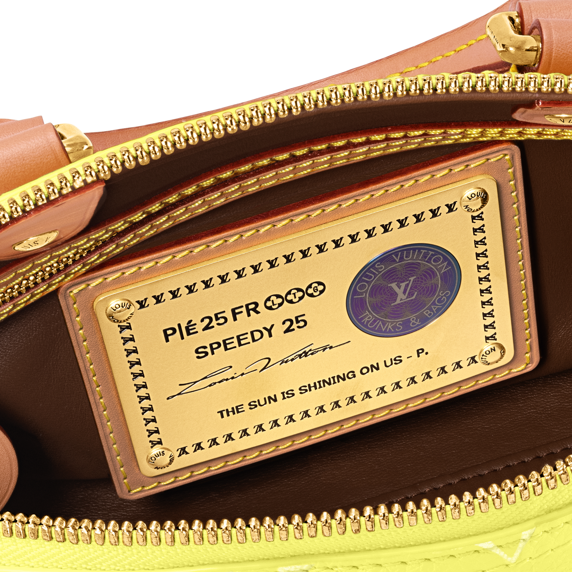 Speedy P9 Bandoulière 25 Autres Cuirs Monogram in Les Extraordinaires