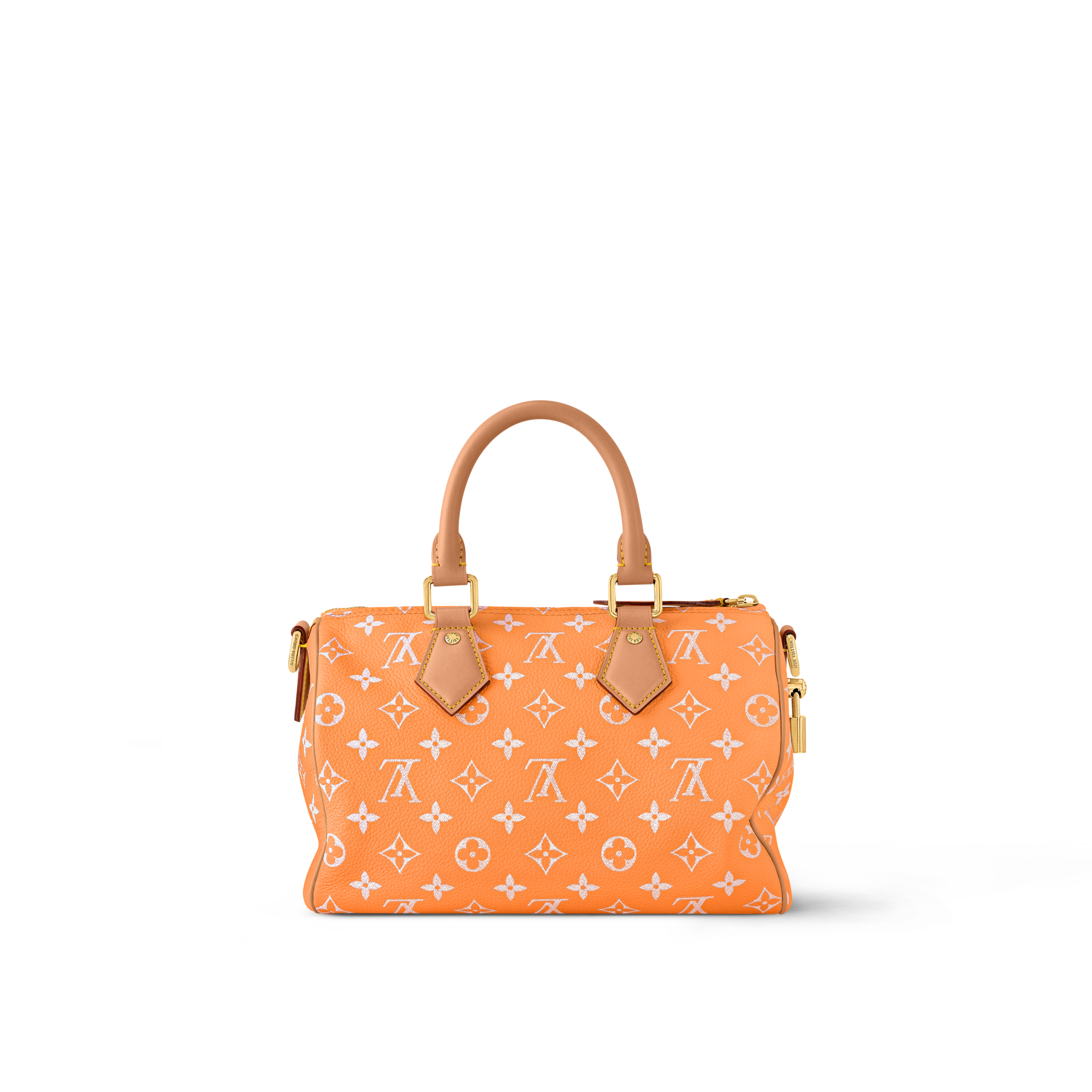 Speedy P9 Bandoulière 25 Autres Cuirs Monogram in Les Extraordinaires