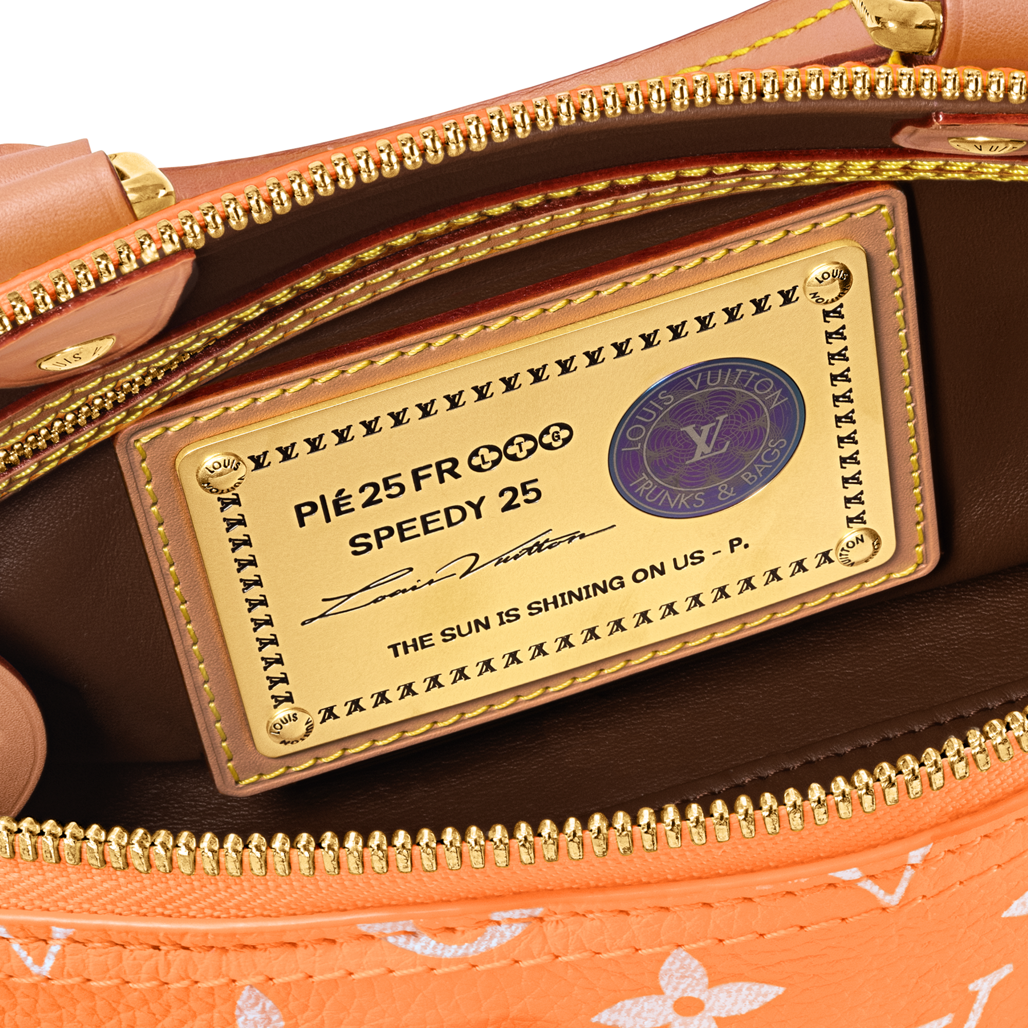 Speedy P9 Bandoulière 25 Autres Cuirs Monogram in Les Extraordinaires