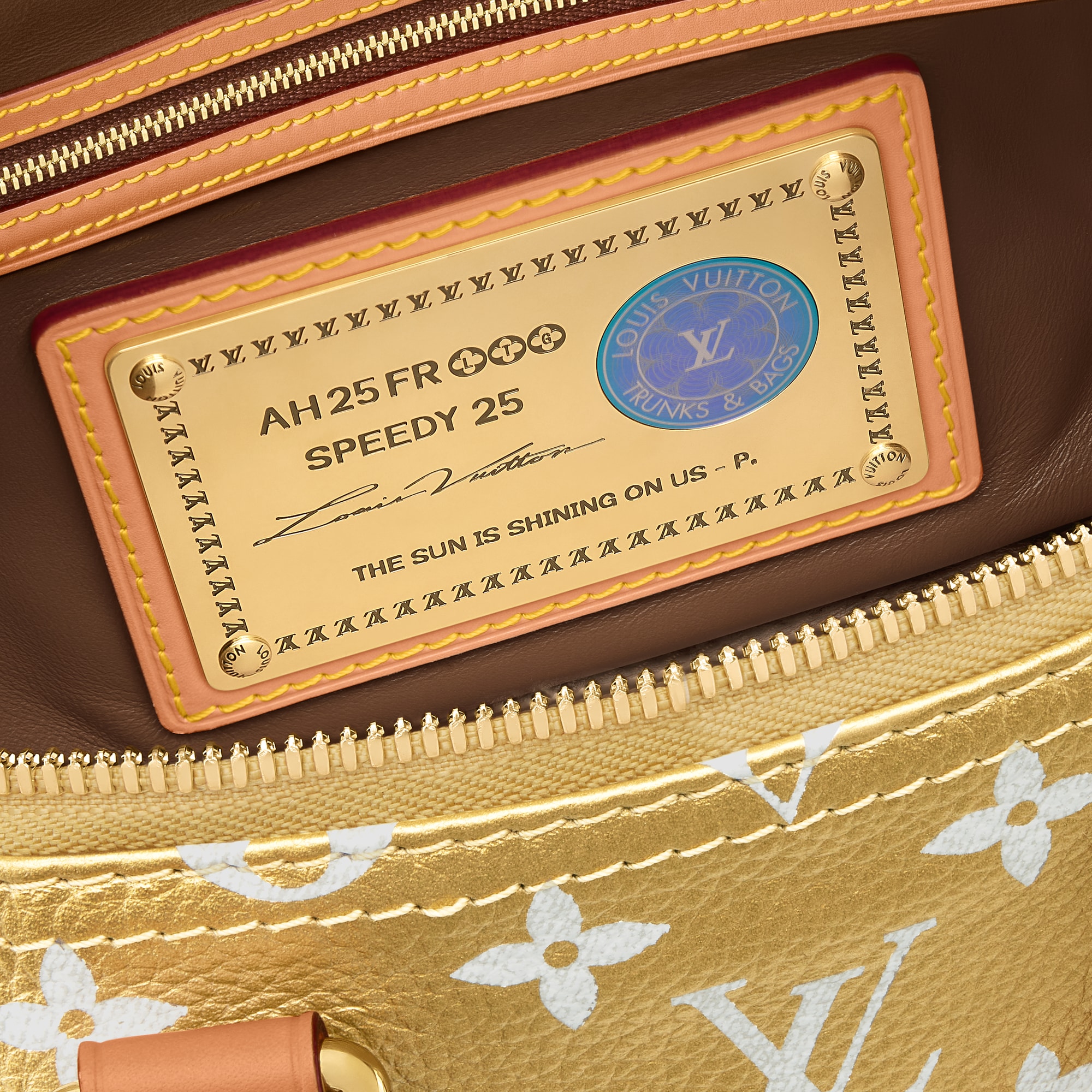 Speedy P9 Bandoulière 25 Autres Cuirs Monogram in Les Extraordinaires
