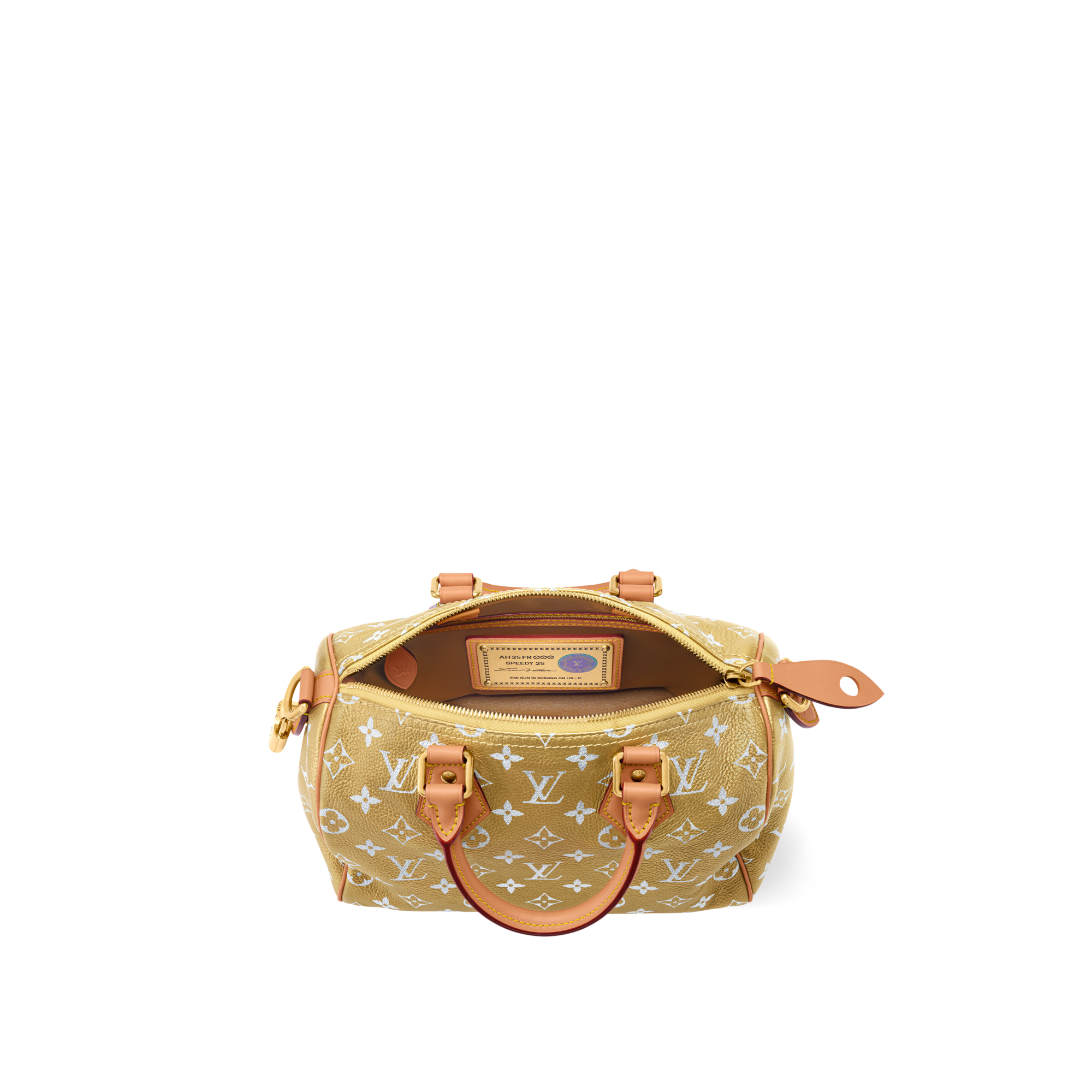 Speedy P9 Bandoulière 25 Autres Cuirs Monogram in Les Extraordinaires