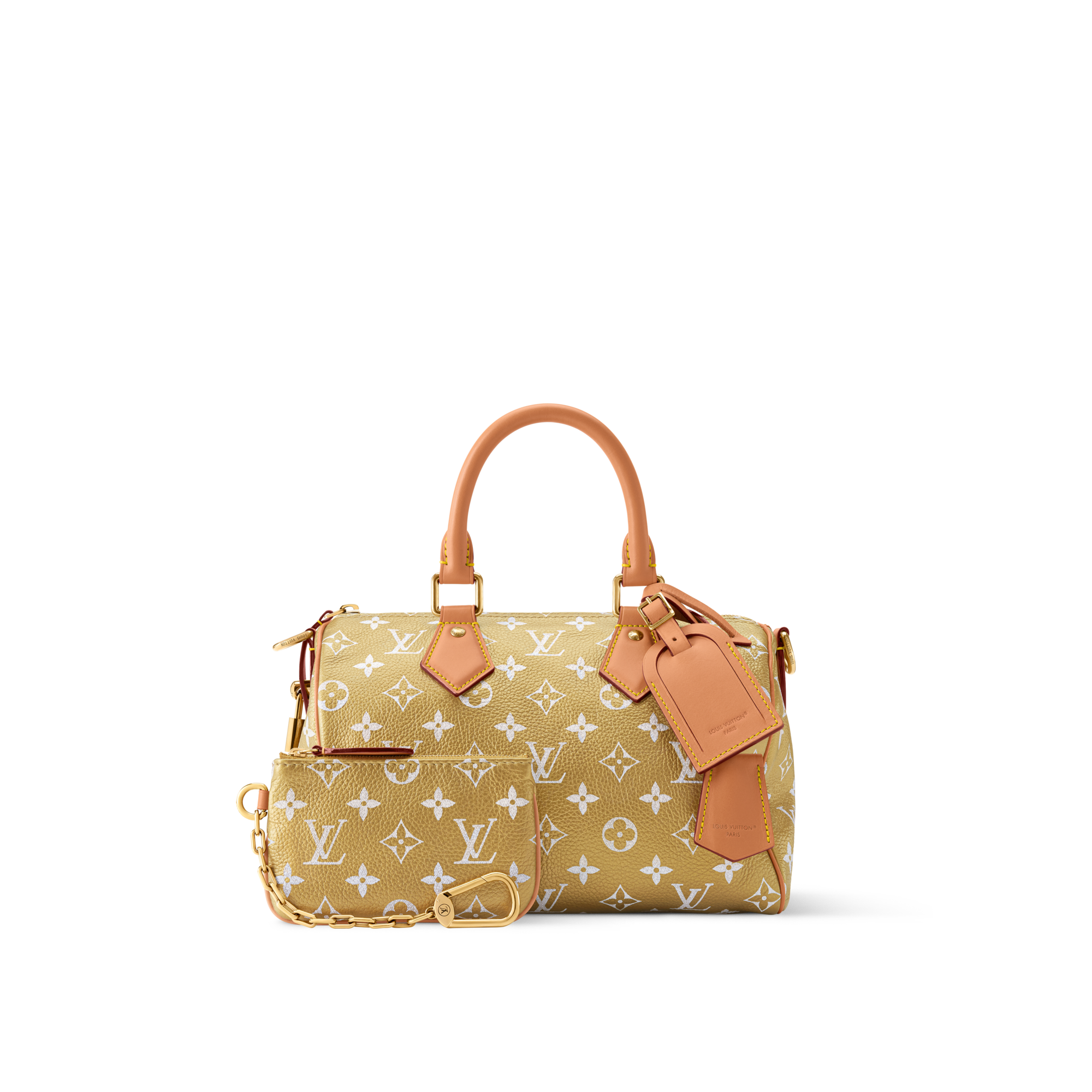 Speedy P9 Bandoulière 25 Autres Cuirs Monogram in Les Extraordinaires