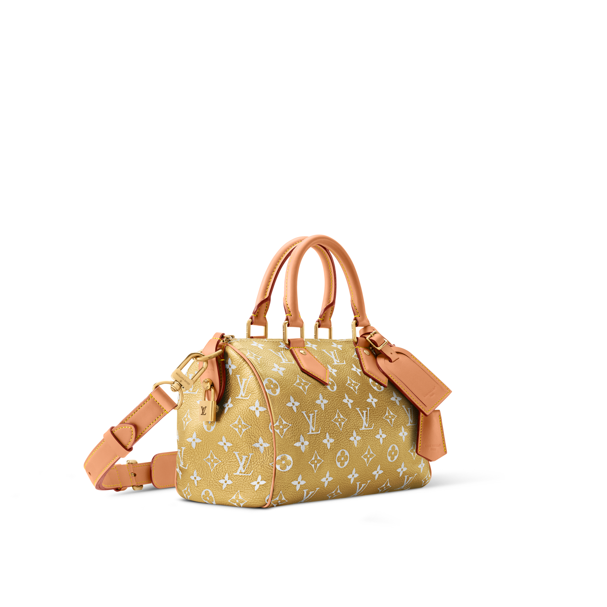 Speedy P9 Bandoulière 25 Autres Cuirs Monogram in Les Extraordinaires