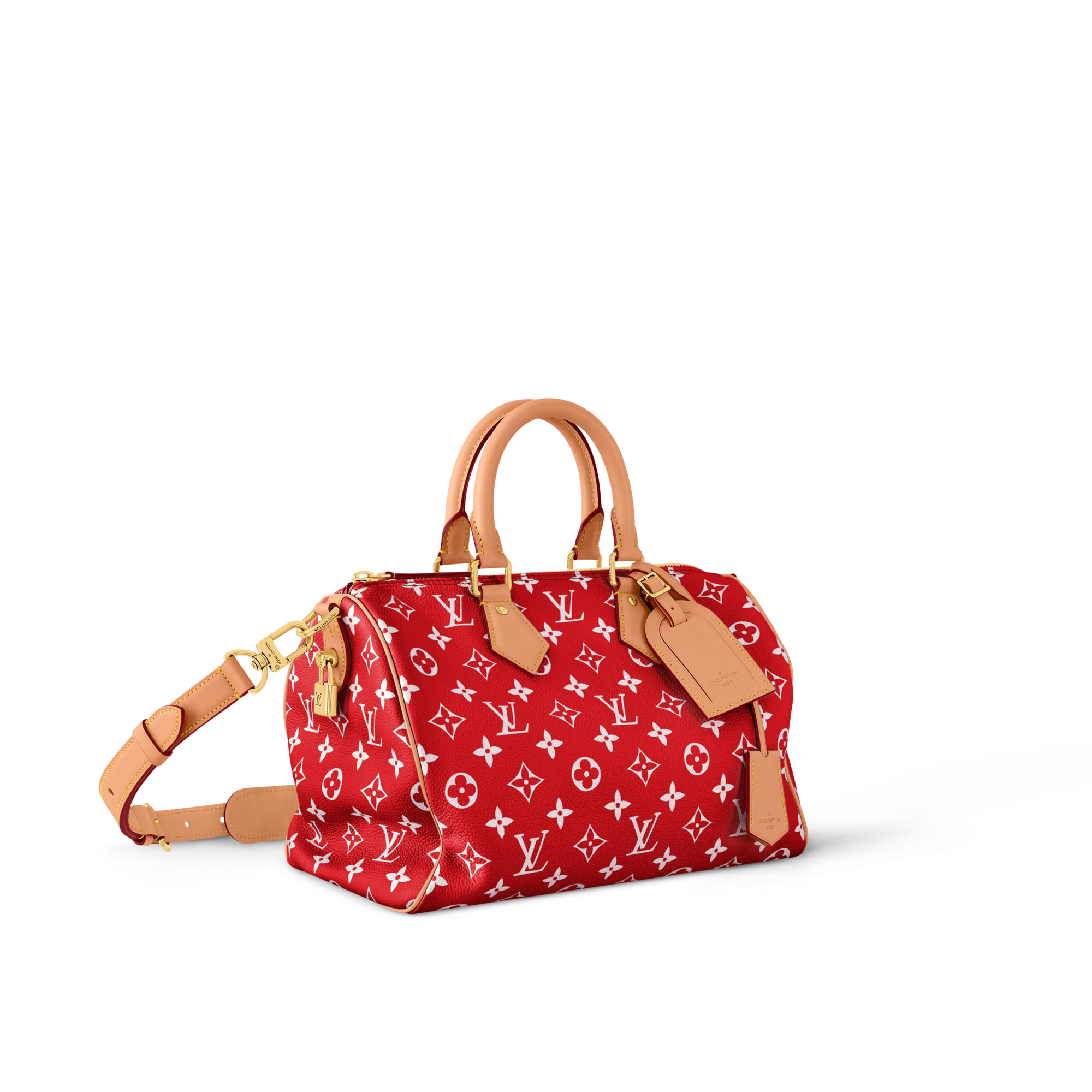 Speedy P9 Bandoulière 30 Autres Cuirs Monogram in Les Extraordinaires