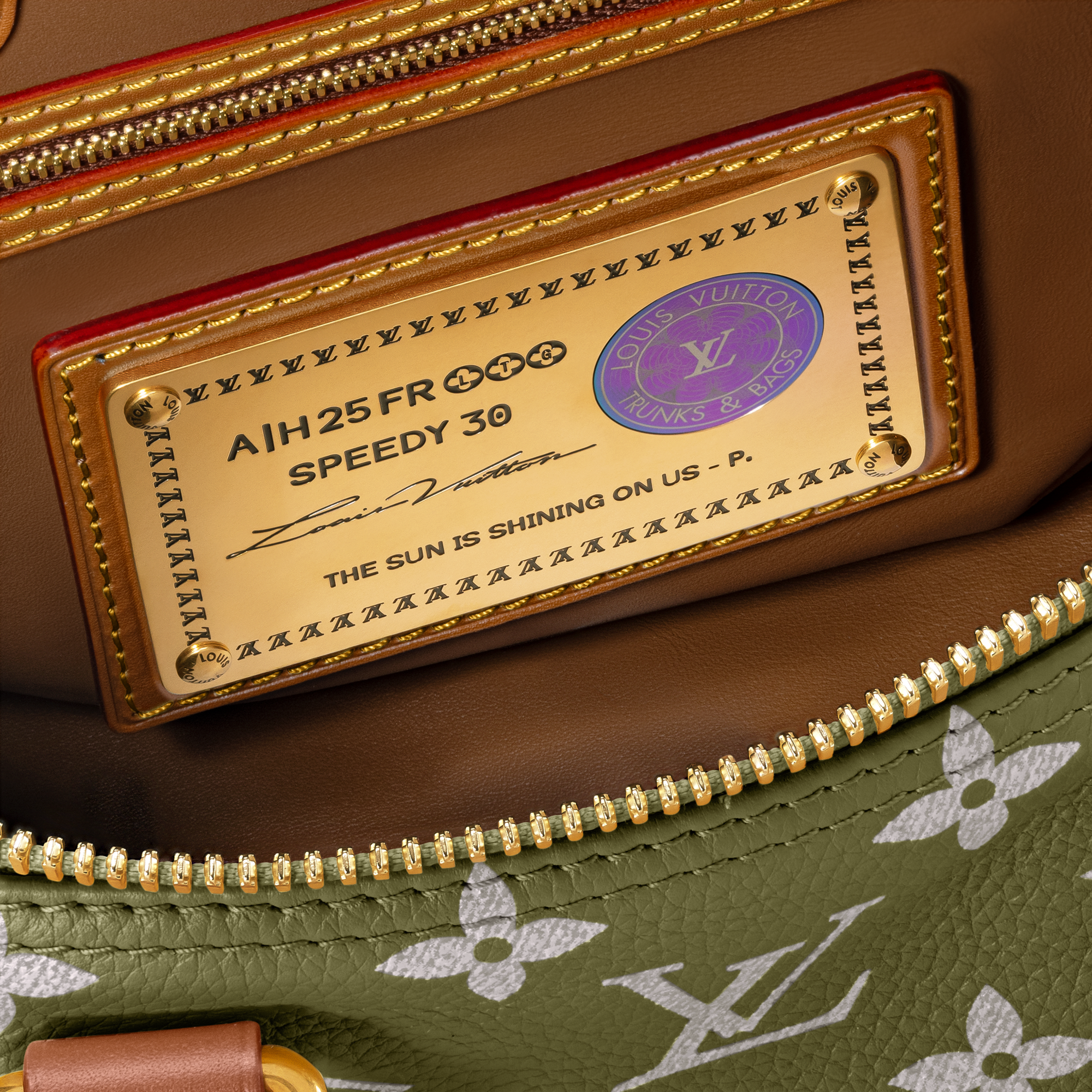 Speedy P9 Bandoulière 30 Autres Cuirs Monogram in Les Extraordinaires