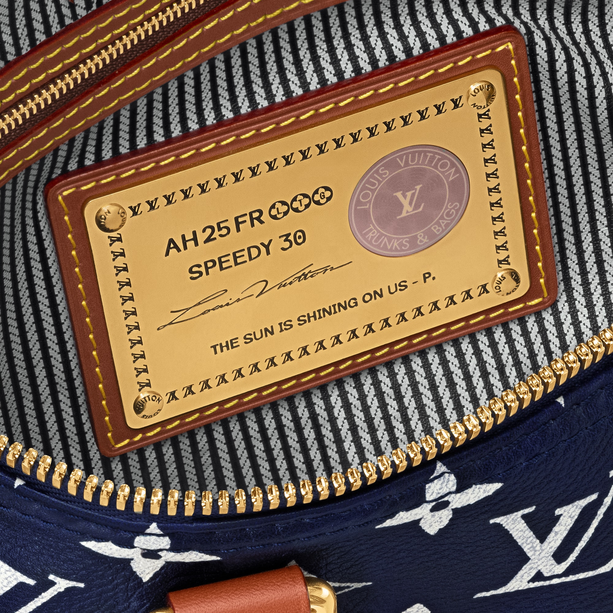Speedy P9 Bandoulière 30 Autres Cuirs Monogram in Les Extraordinaires