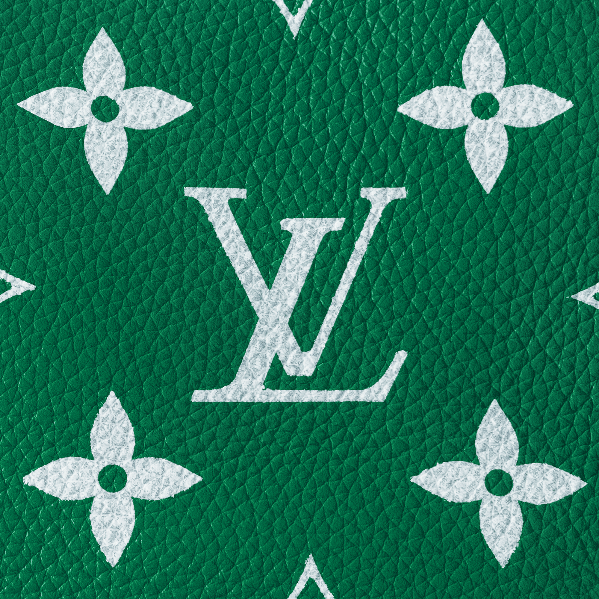Speedy P9 Bandoulière 40 Autres Cuirs Monogram in Les Extraordinaires