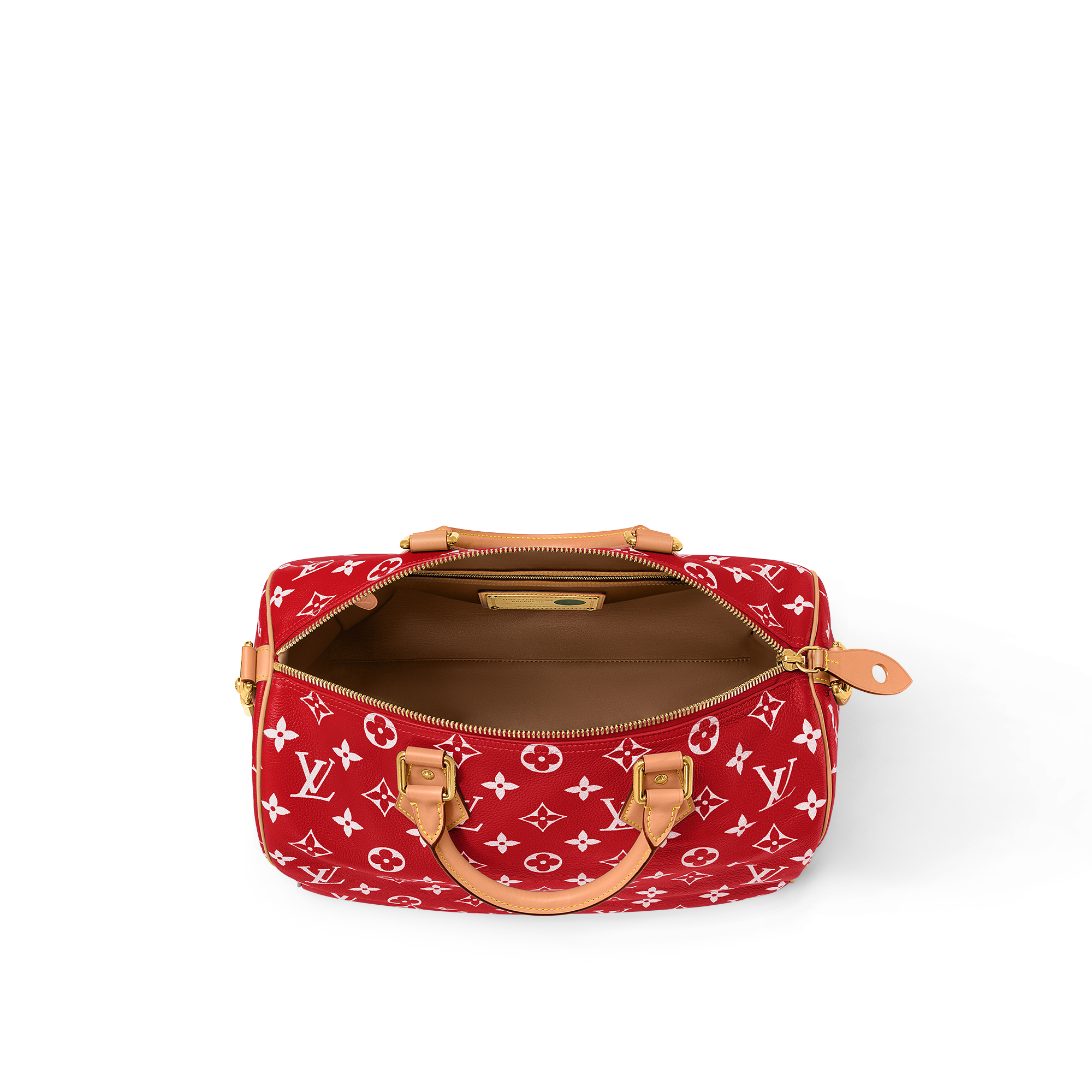 Speedy P9 Bandoulière 40 H40 in Les Extraordinaires