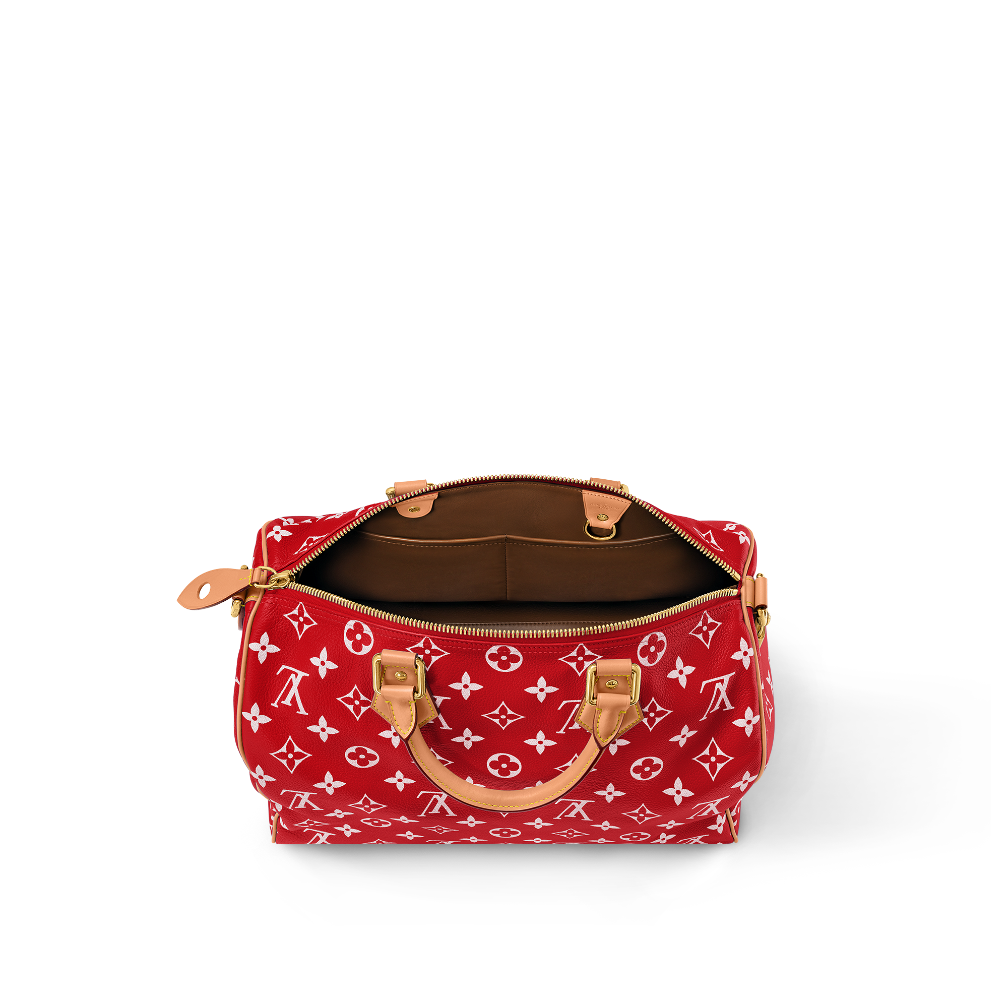 Speedy P9 Bandoulière 40 H40 in Les Extraordinaires