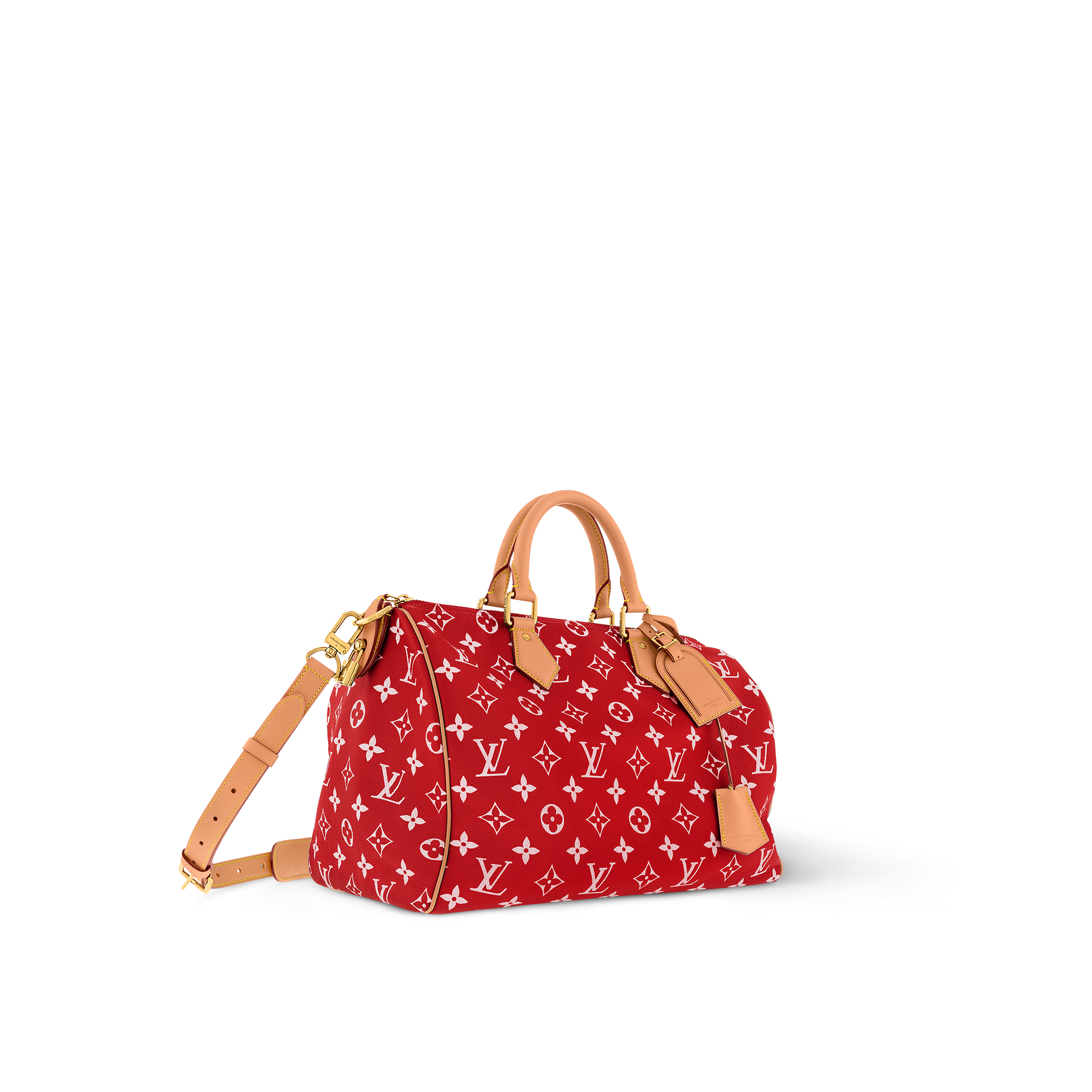 Speedy P9 Bandoulière 40 H40 in Les Extraordinaires