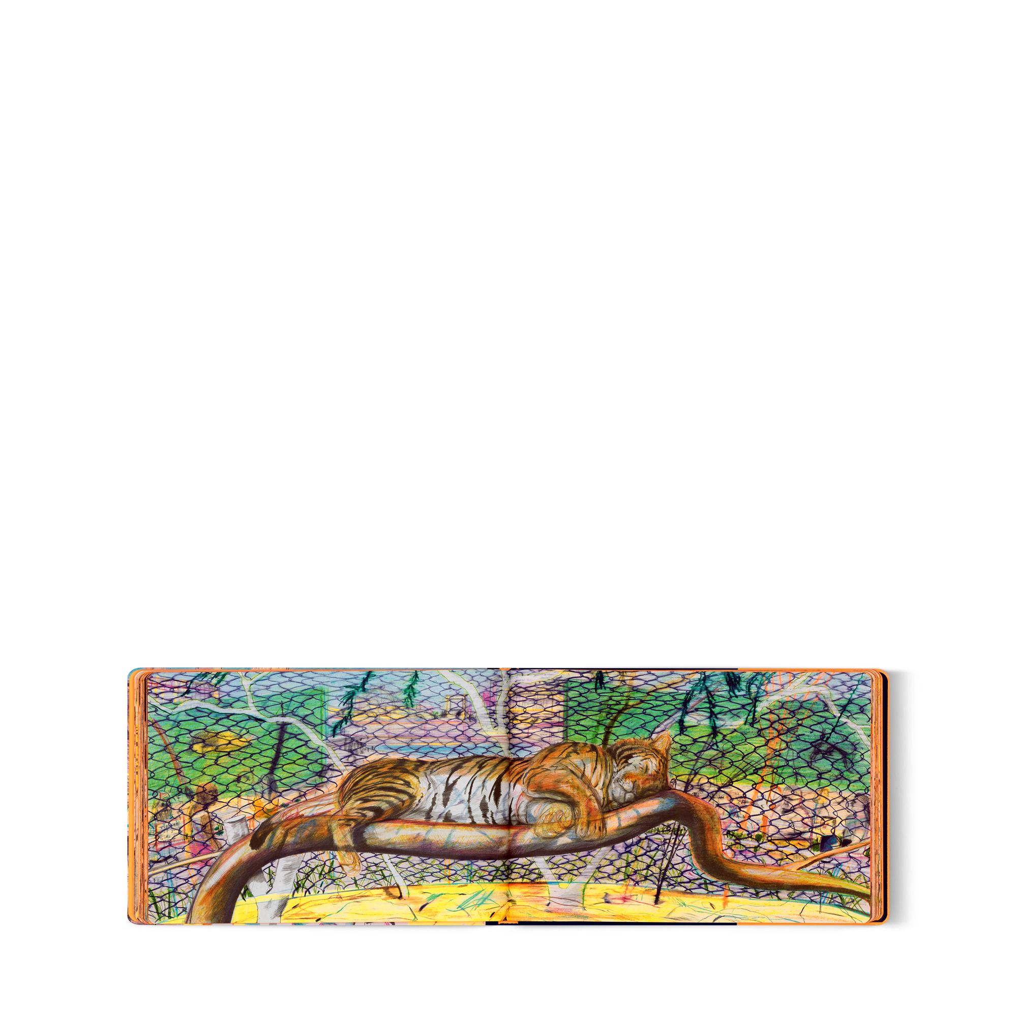 Travel Book Las Vegas   in Trunks, Travel and Home